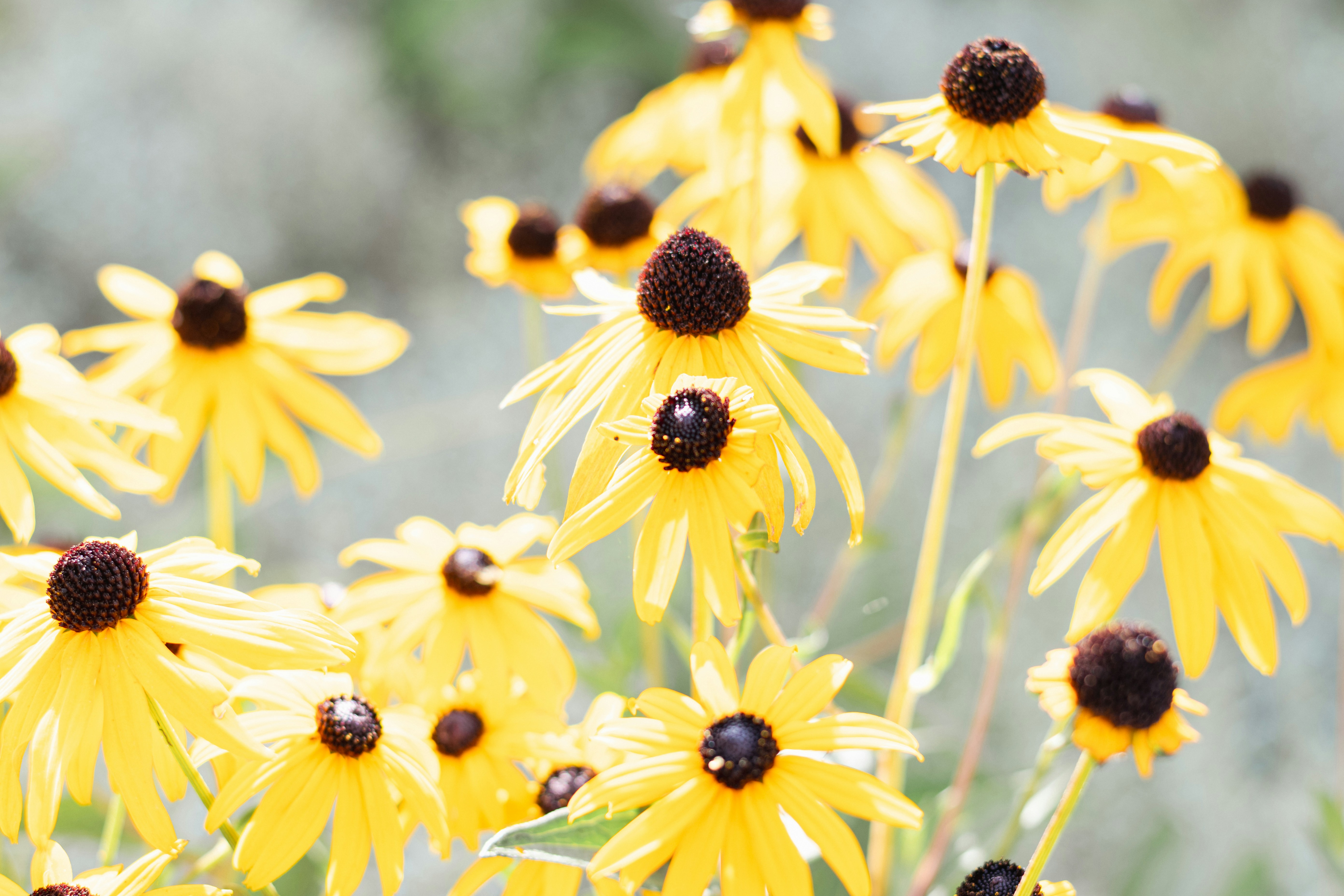 Photo by binekrafczyk