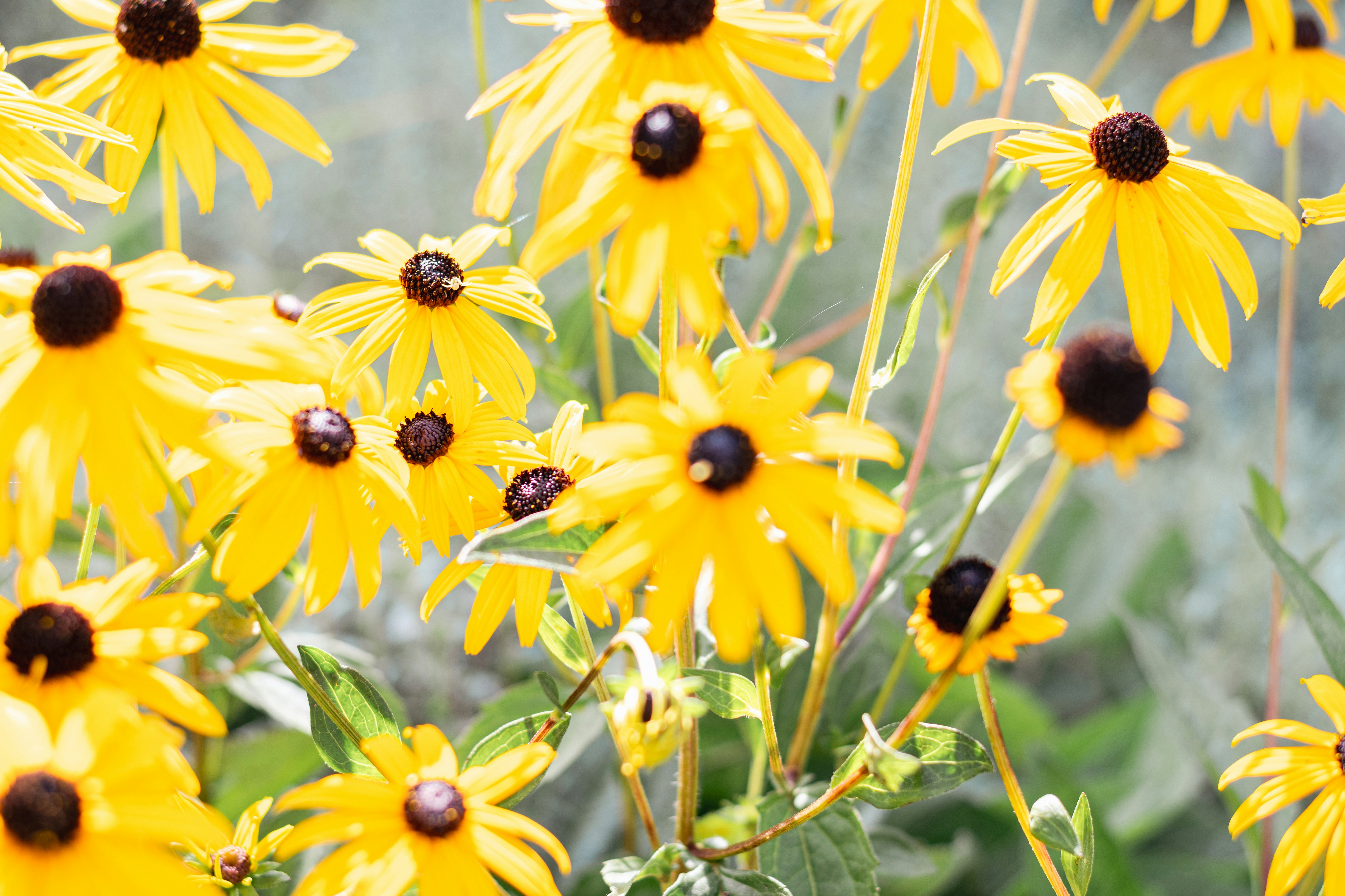 Photo by binekrafczyk