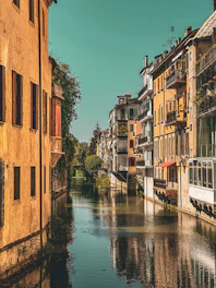 Colorful trajineras floating on Xochimilco canals surrounded by lush greenery under a bright sky.