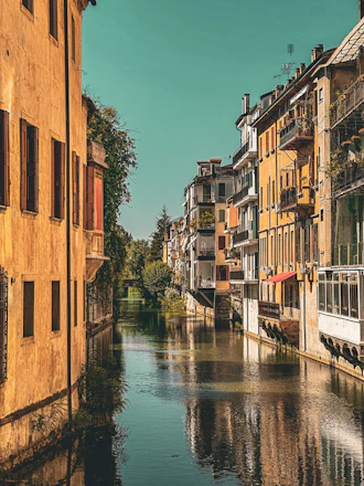 Colorful trajineras floating on Xochimilco canals surrounded by lush greenery under a bright sky.