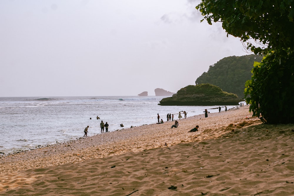 a group of people standing on top of a sandy beach