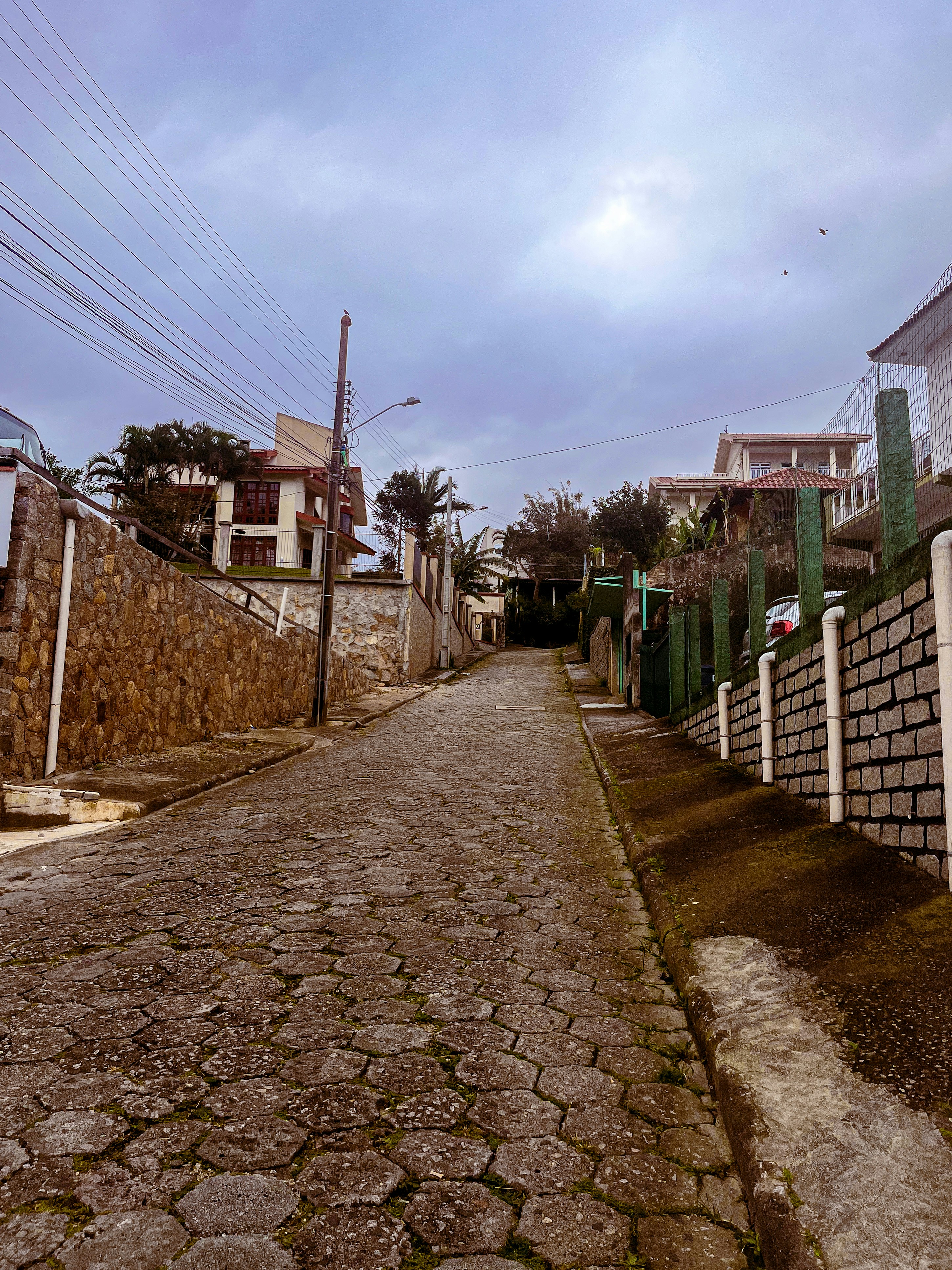 Photo by anacecilia03