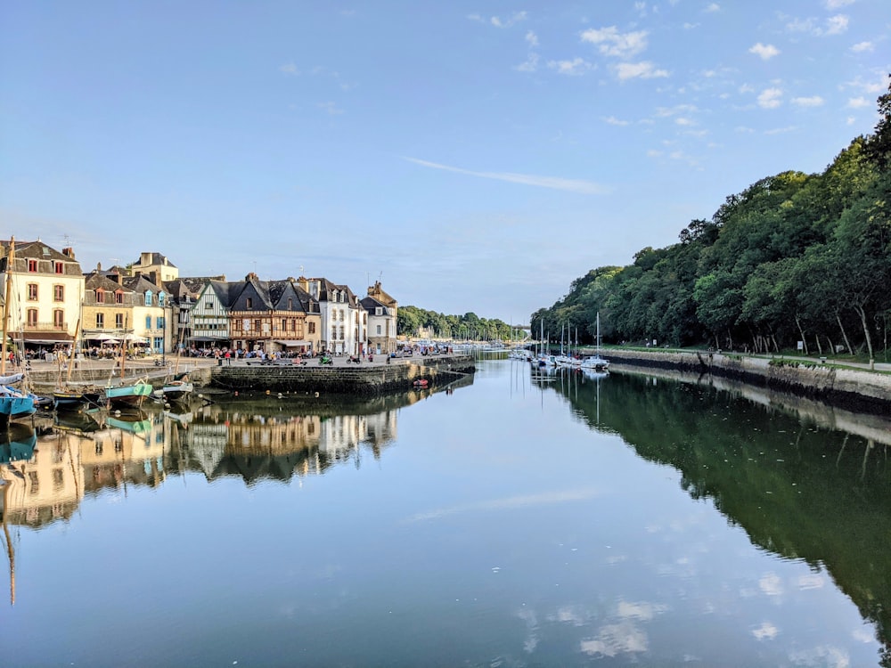 a body of water surrounded by buildings and trees