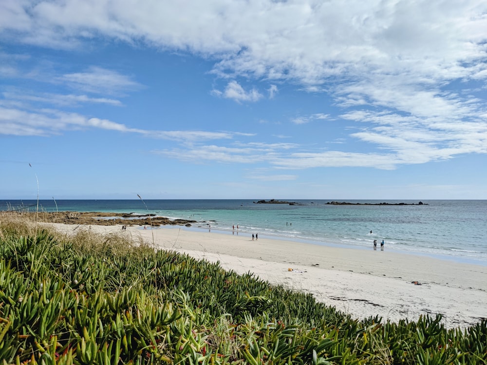 a sandy beach with people walking on it