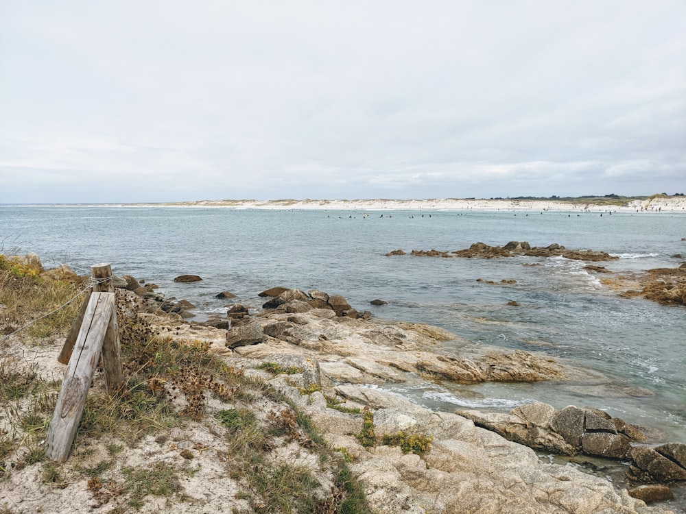 a wooden bench sitting on top of a beach next to the ocean