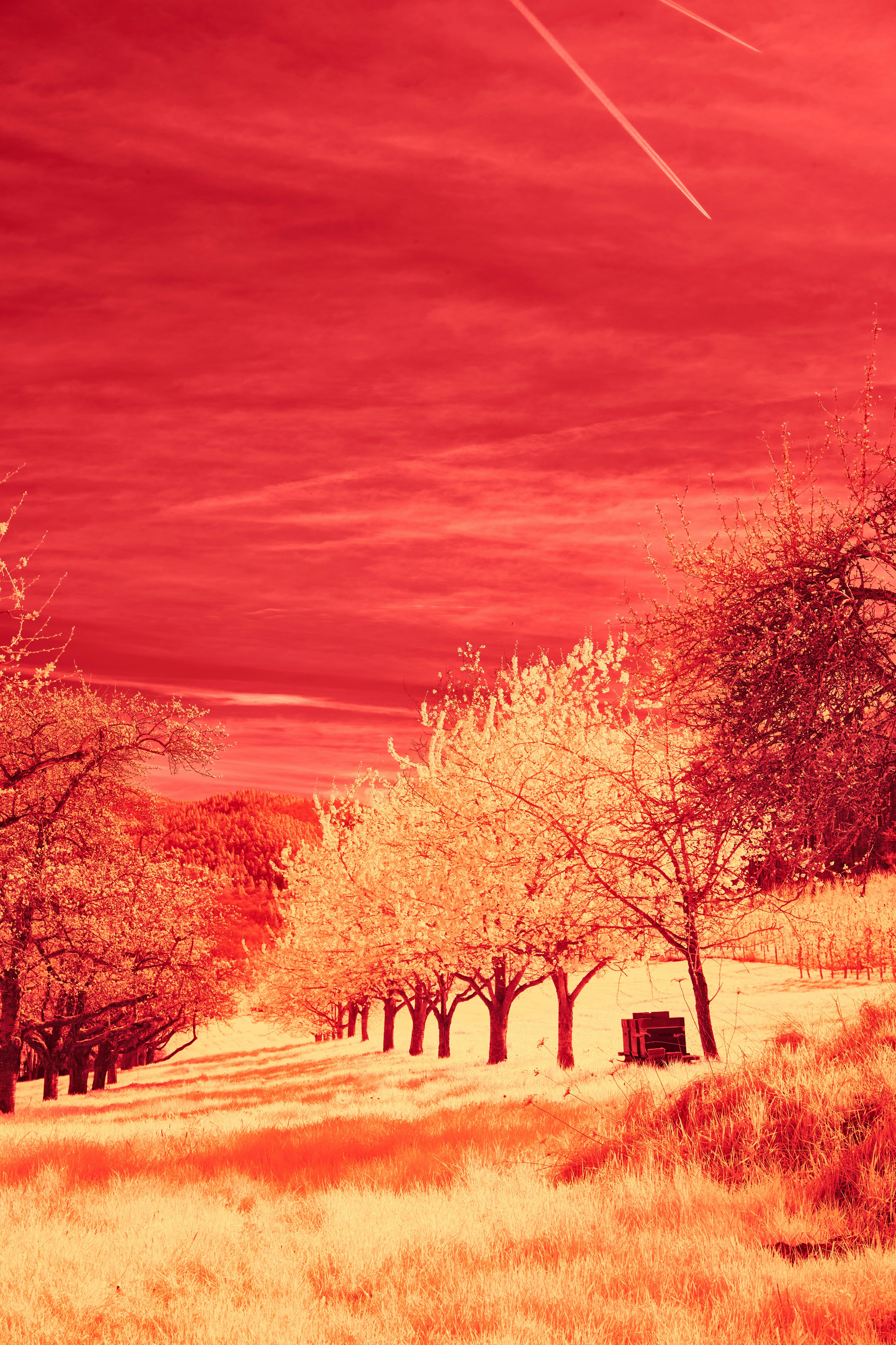 Photo by wolfgang_hasselmann