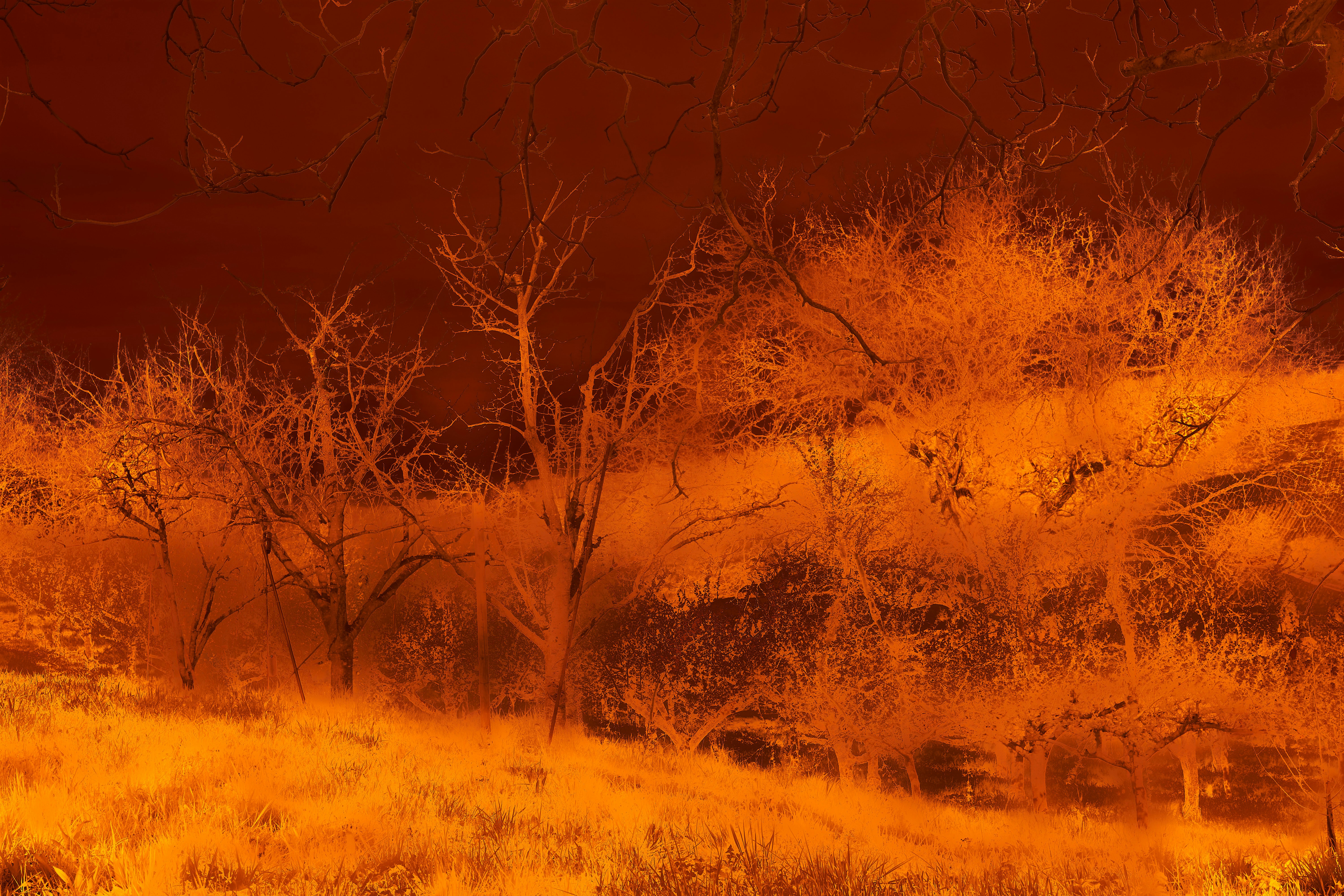 Photo by wolfgang_hasselmann