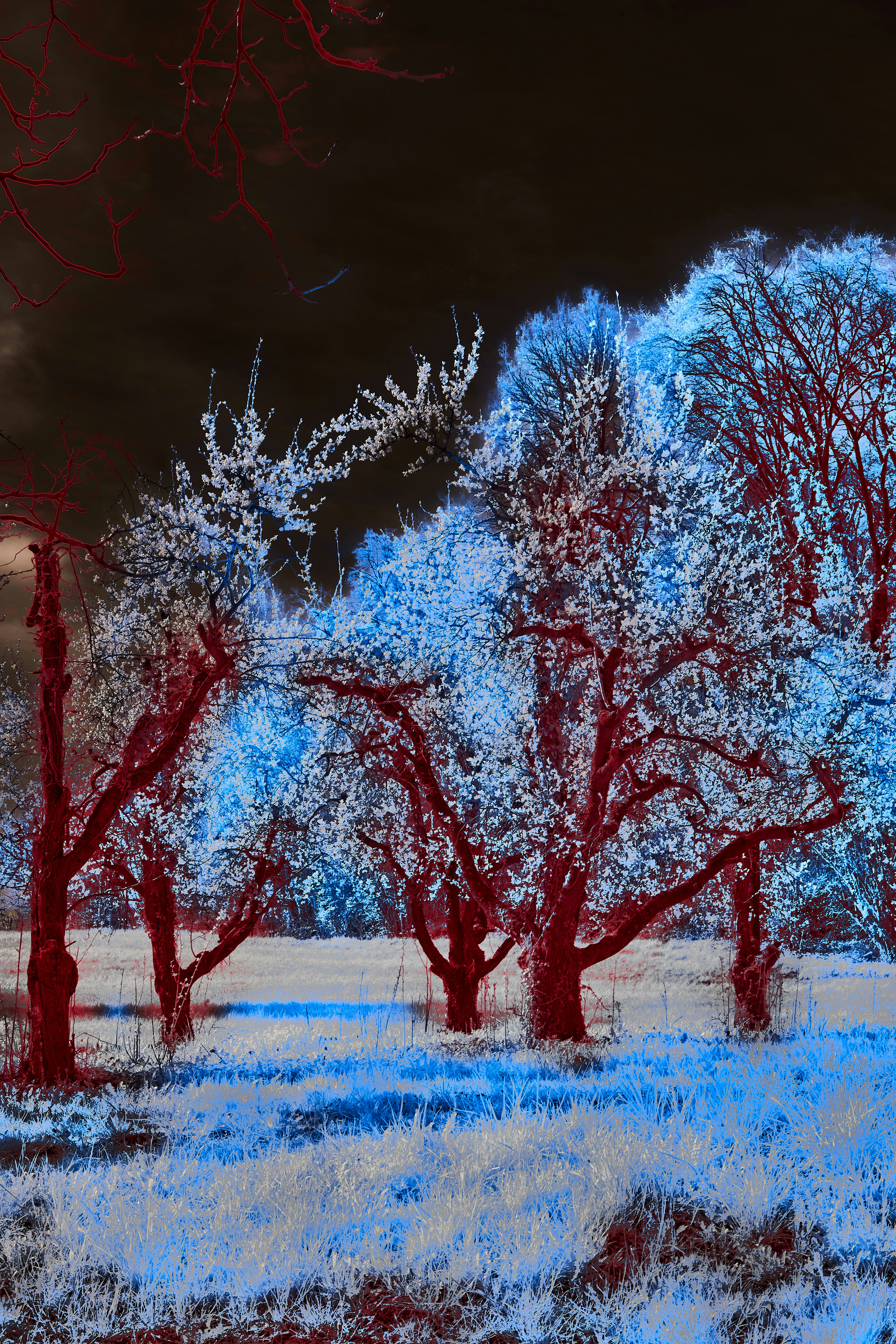 Vibrant Digital Landscape