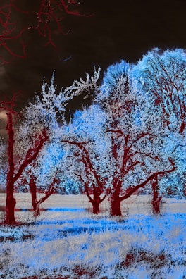 An AI-generated surreal landscape with glowing trees and a starry sky.