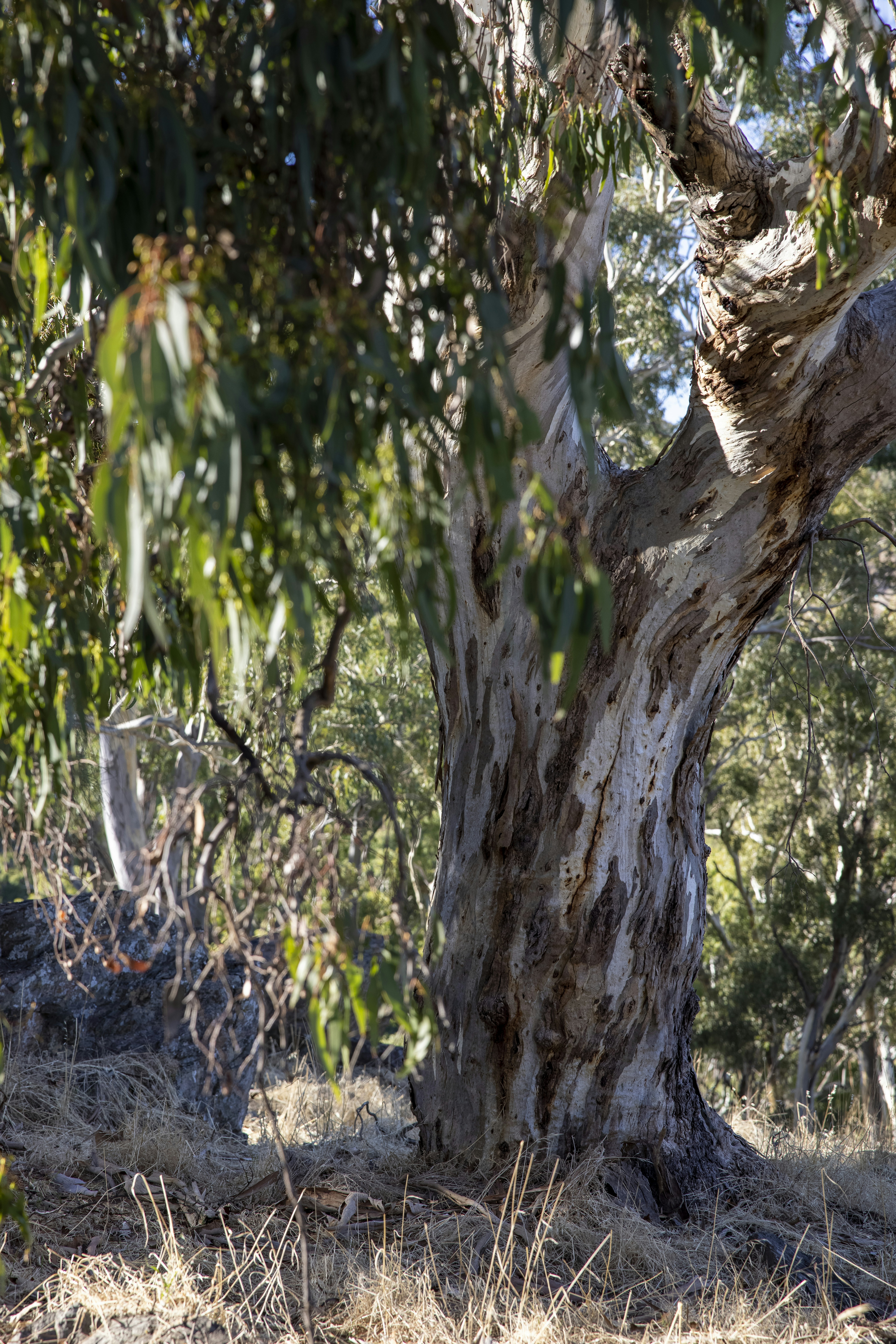 Photo by stephenmabbs