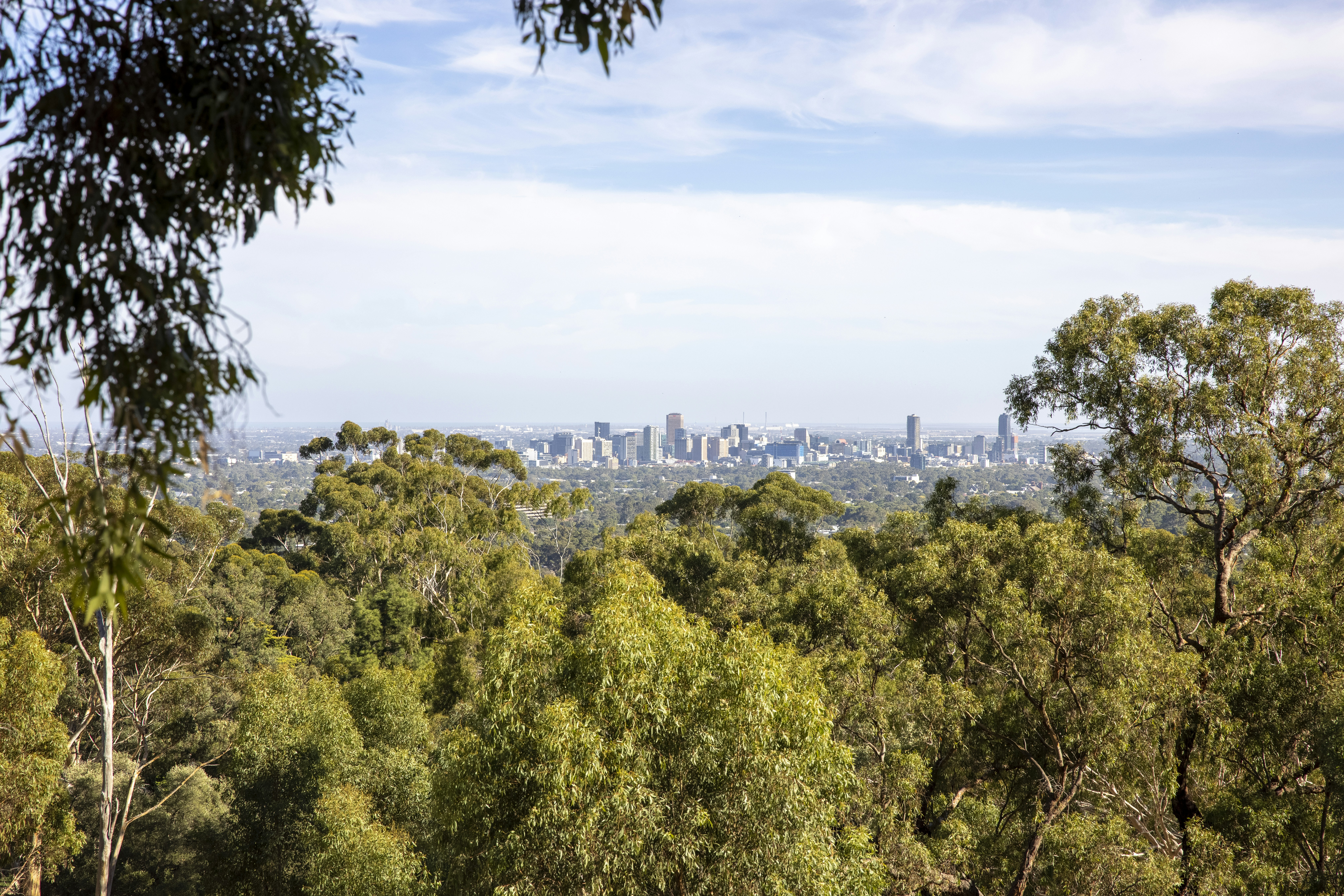 Photo by stephenmabbs