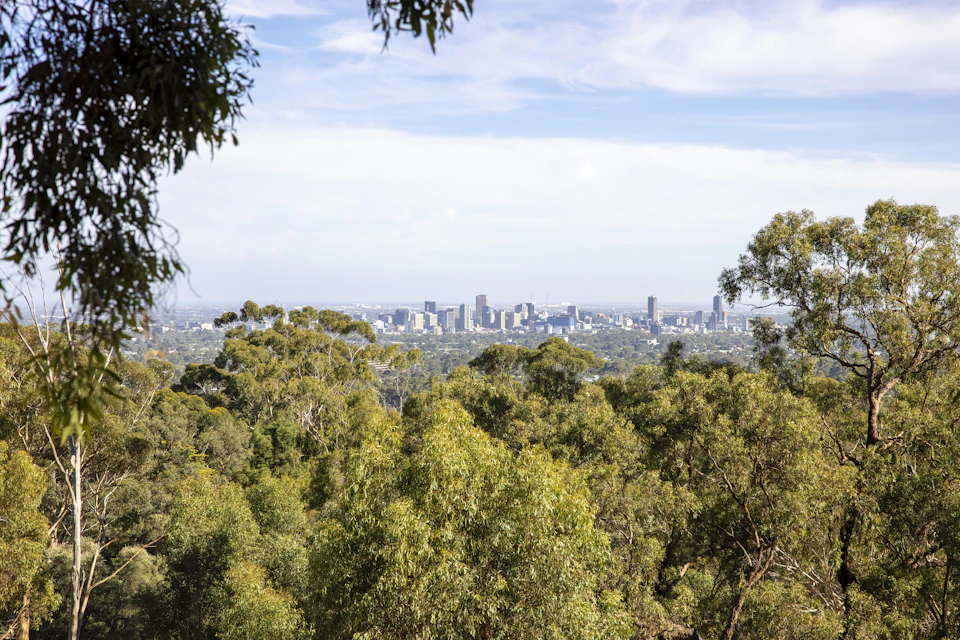 The image depicts a cityscape with a blend of urban and natural elements. The focal point is a large body of water, possibly an ocean or lake, which serves as the backdrop for the city skyline. The city itself is composed of tall buildings that stretch towards the sky, their numerous windows reflecting the sunlight. These structures are interspersed with patches of greenery, including trees and bushes, adding a touch of nature to the urban setting. The perspective of the image is from a high vantage point, providing an expansive view of both the cityscape and its surrounding natural environment.
