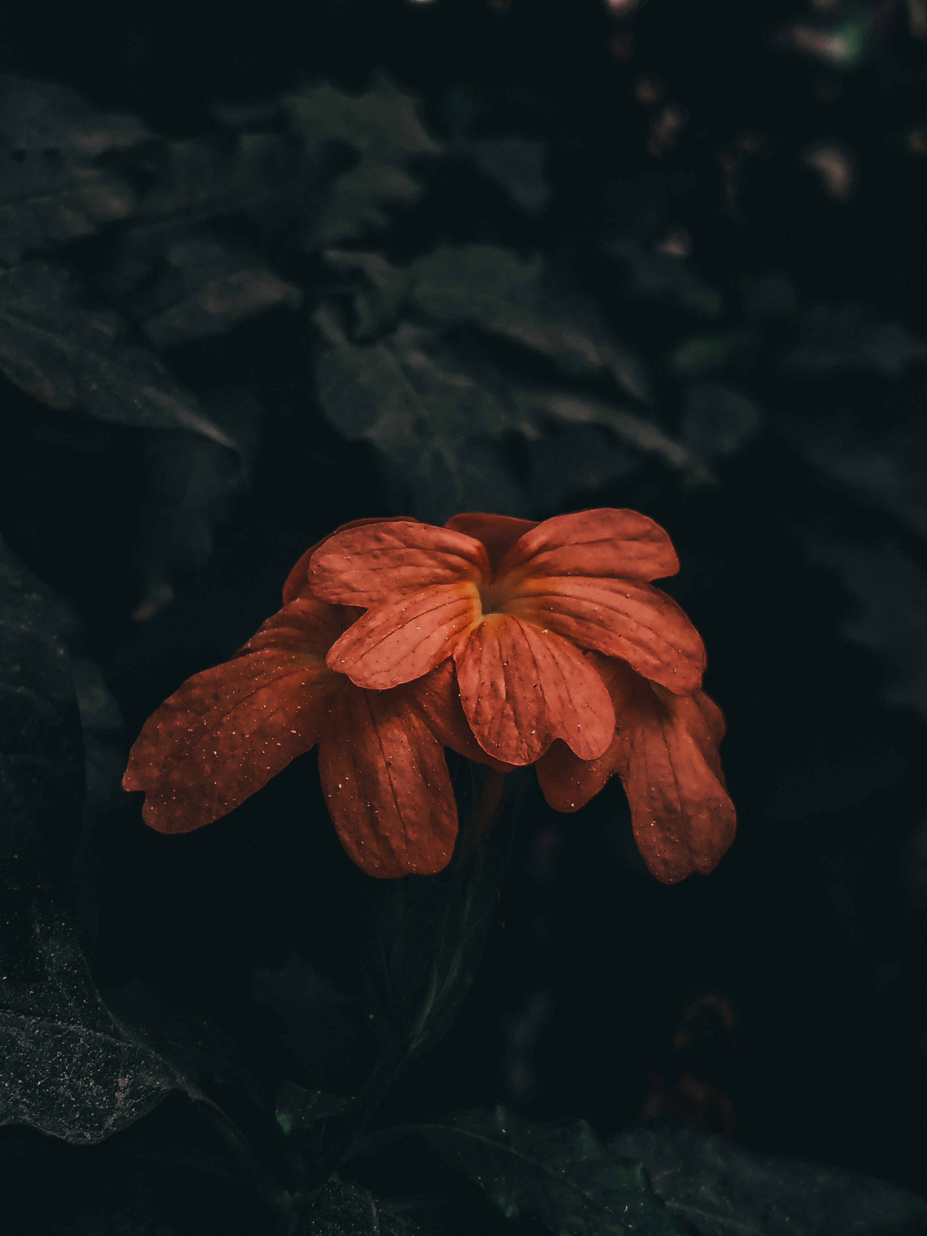 Photo by nildshinde90
