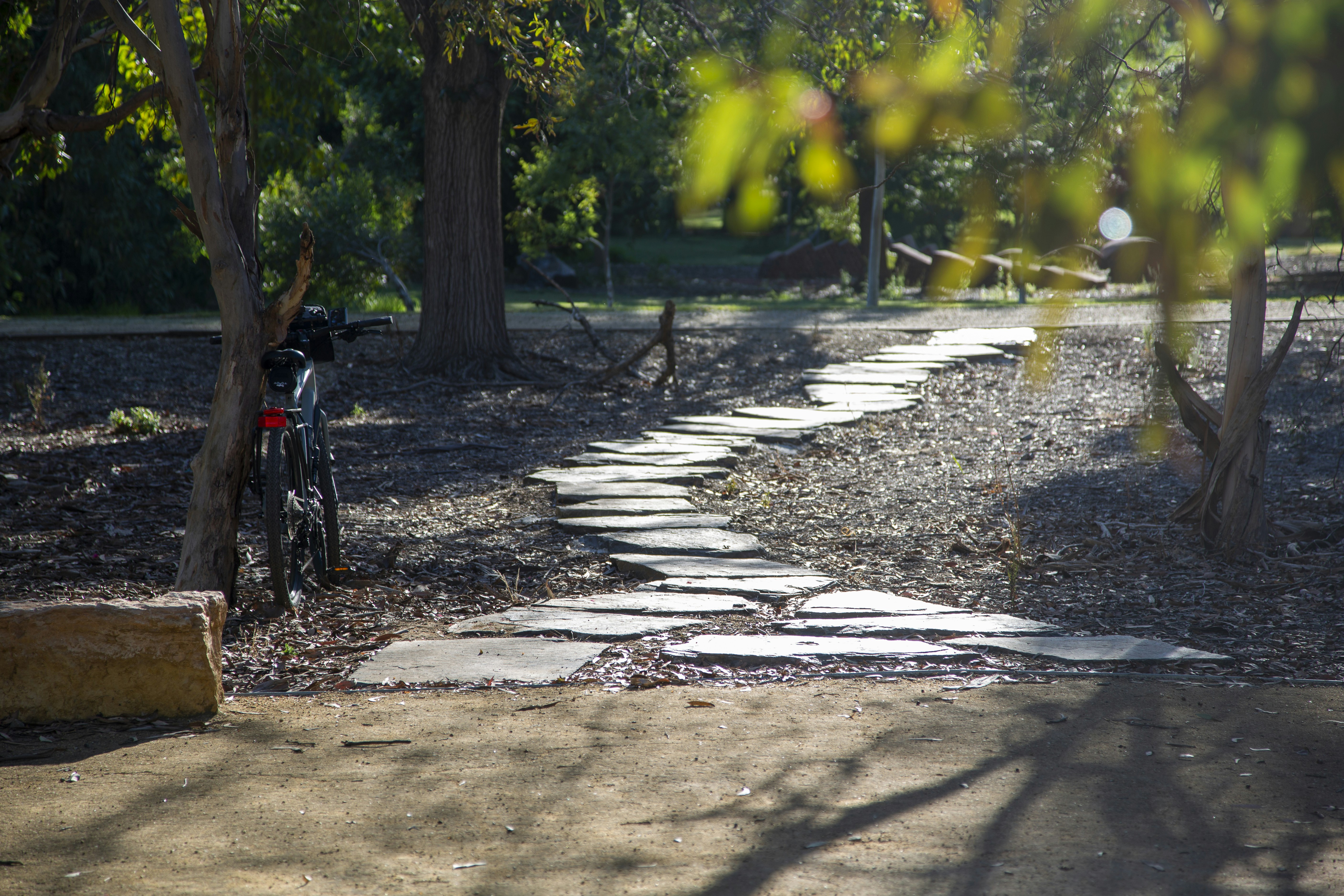 a bike parked next to a tree in a park
