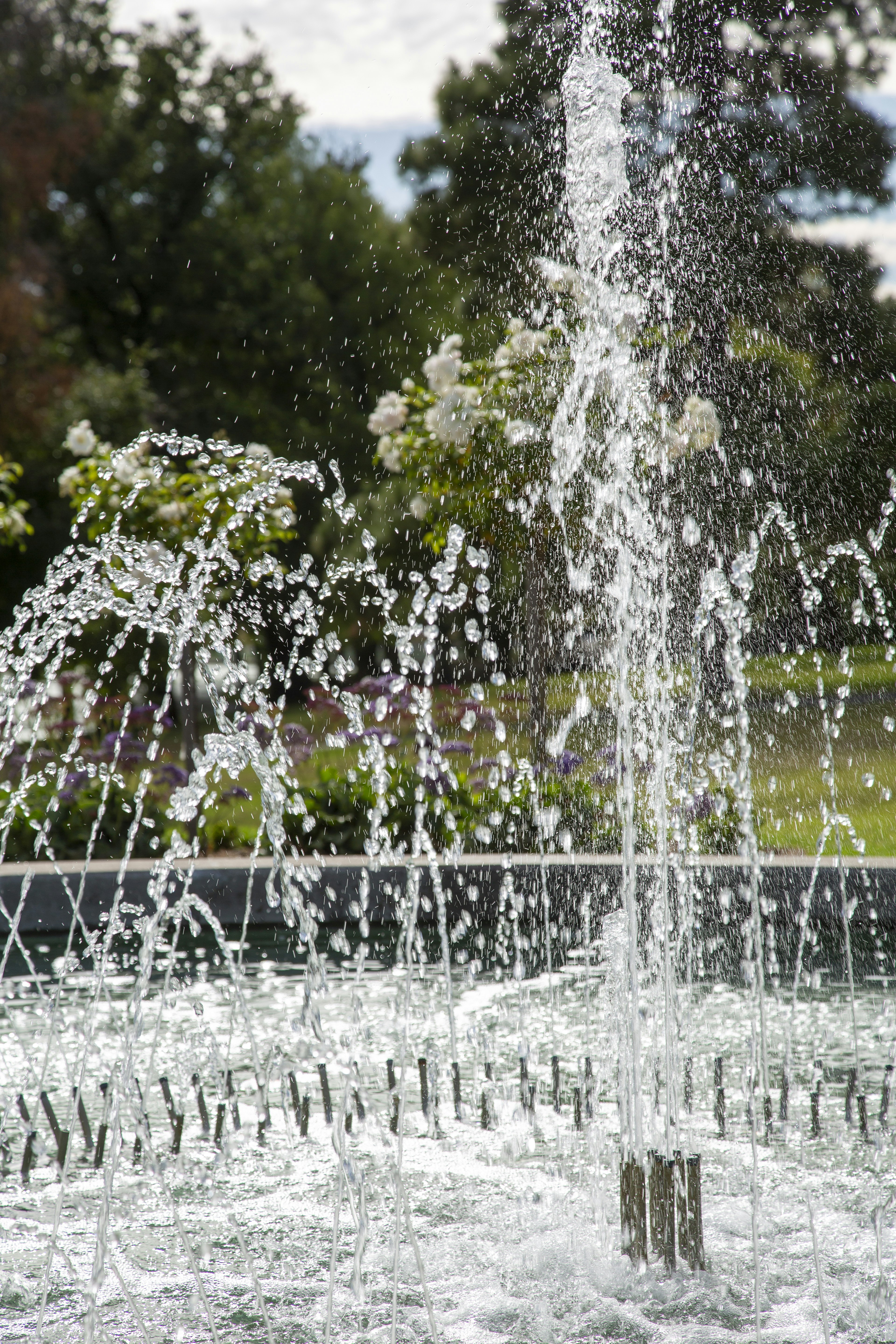 Photo by stephenmabbs