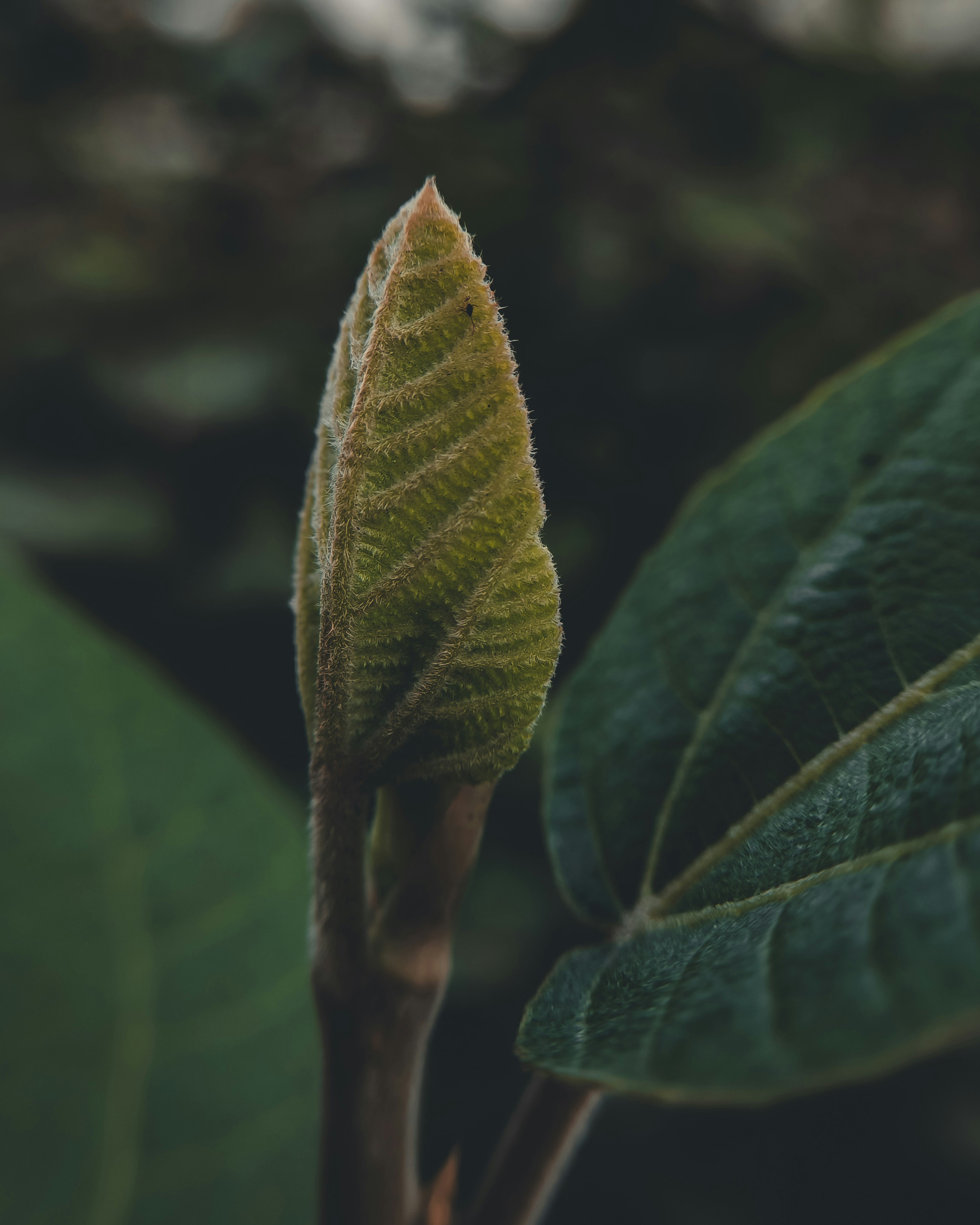 Photo by nildshinde90