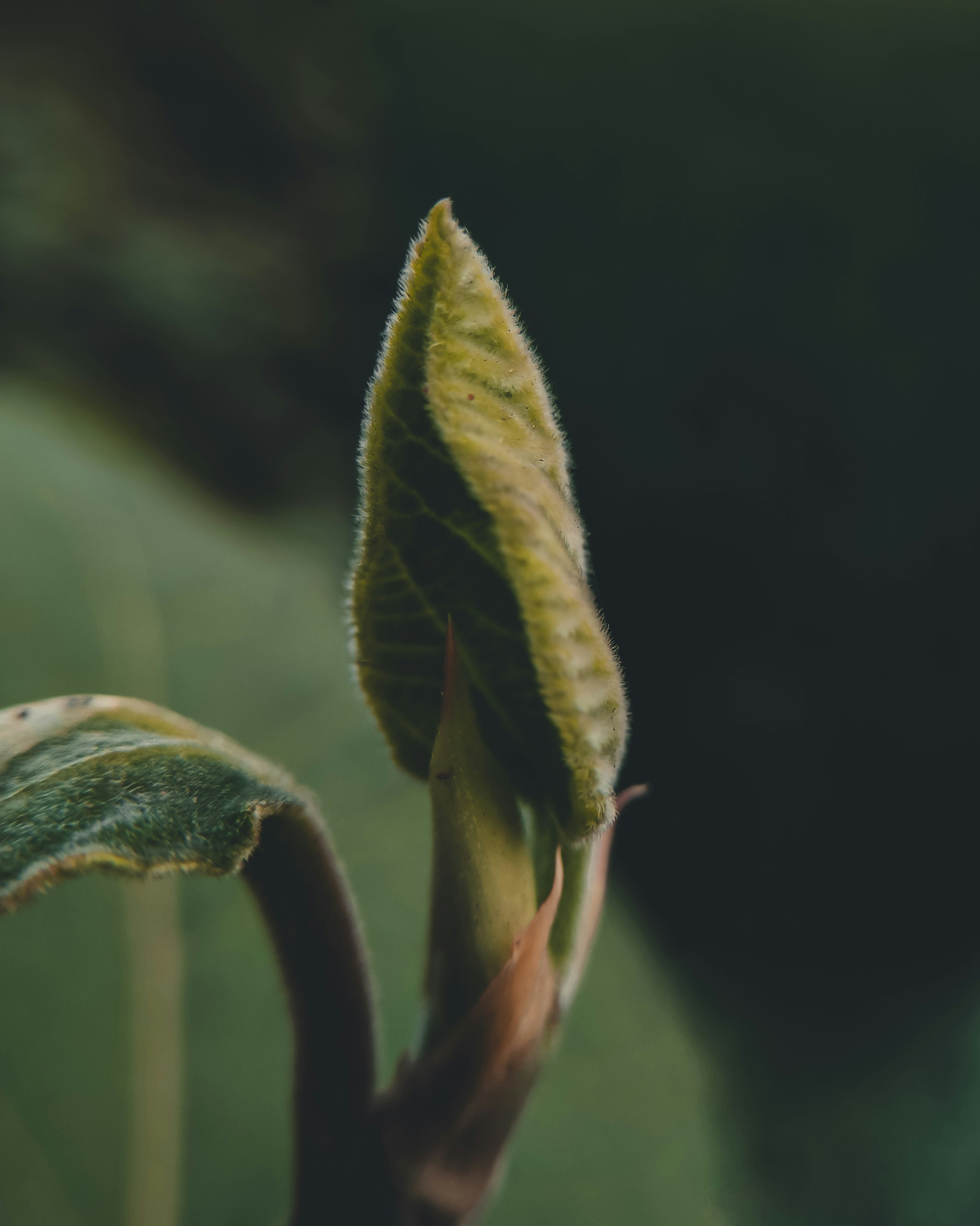 Photo by nildshinde90