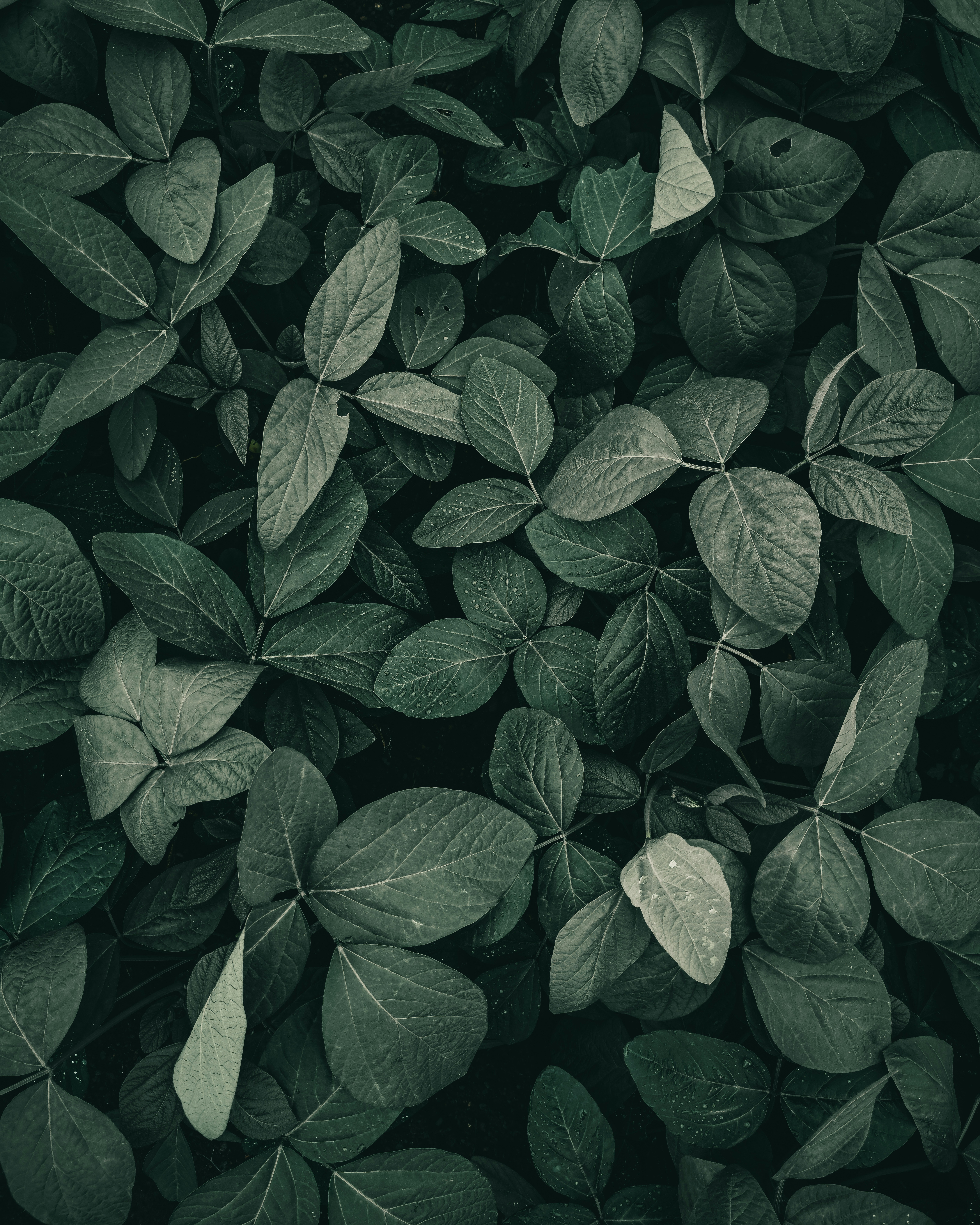 Photo by nildshinde90