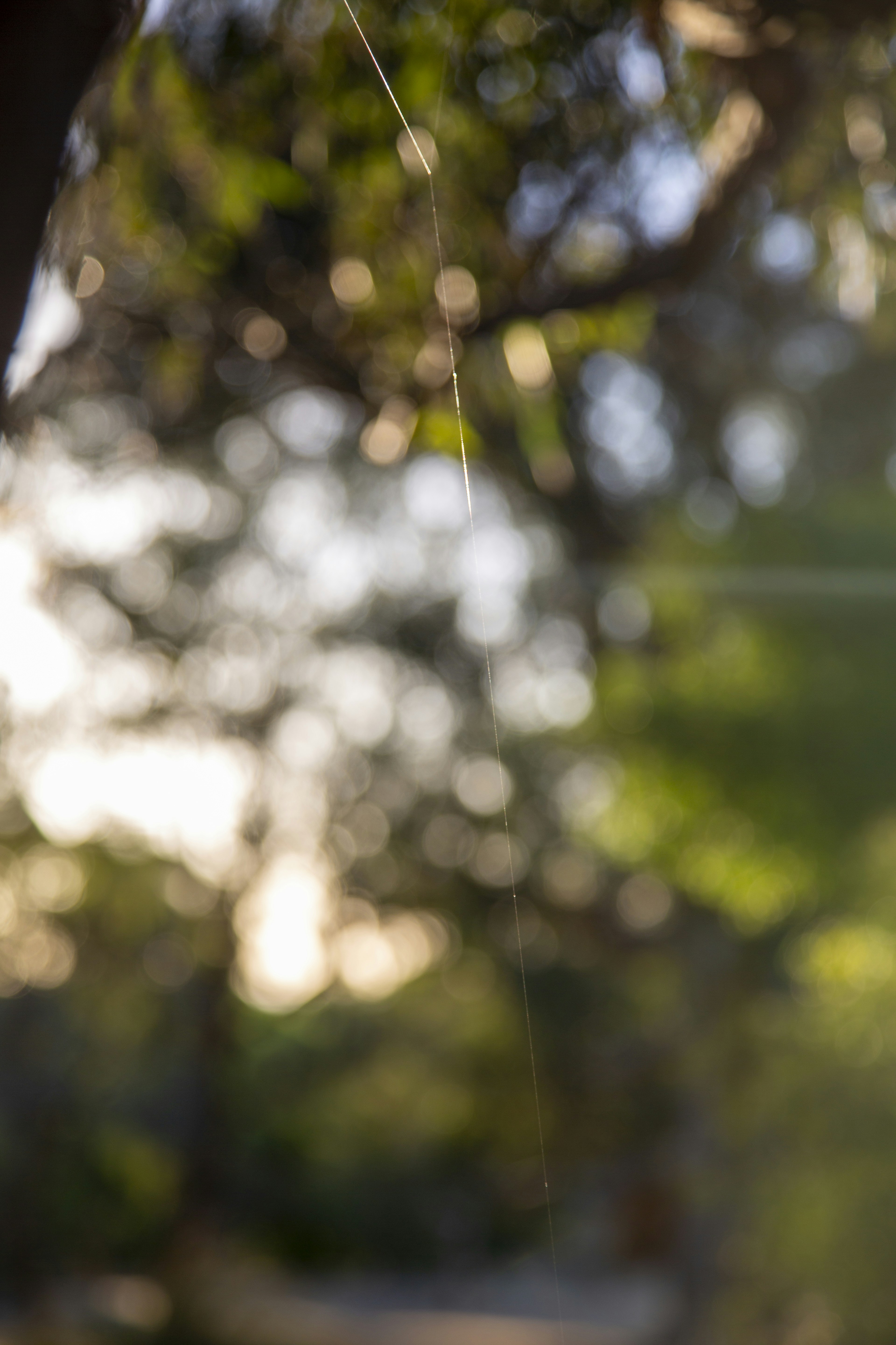 Photo by stephenmabbs