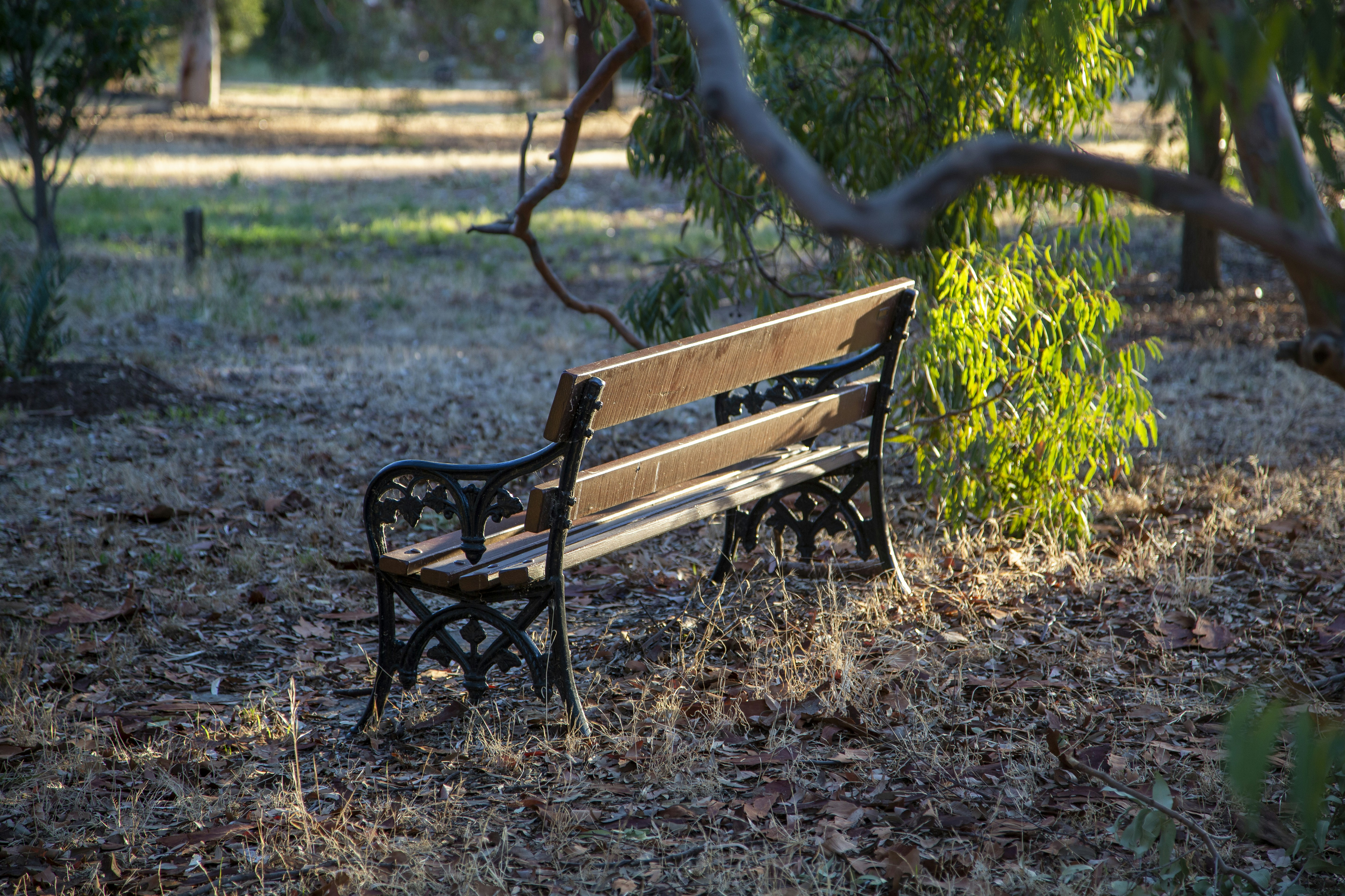 Photo by stephenmabbs