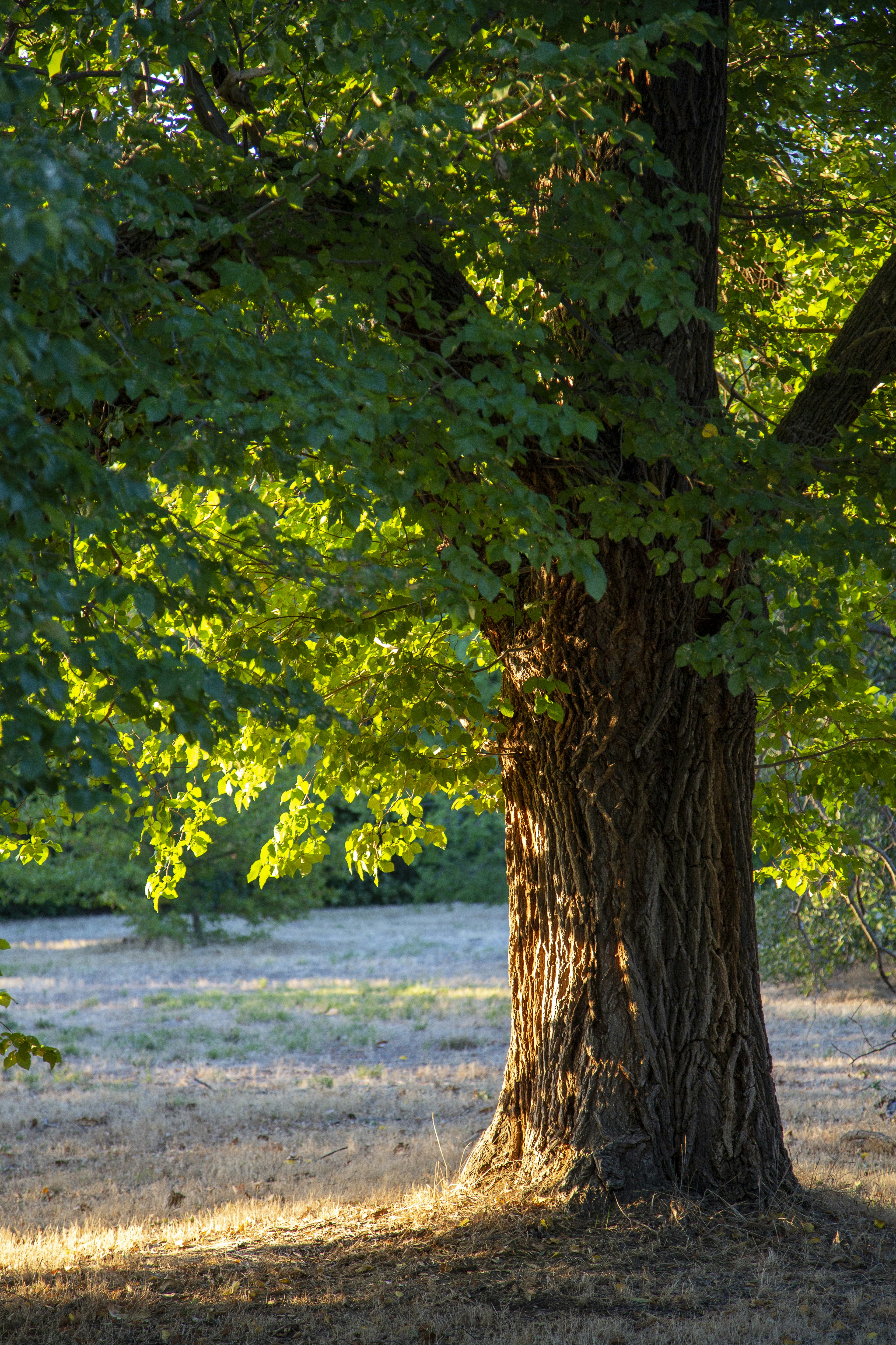 Photo by stephenmabbs