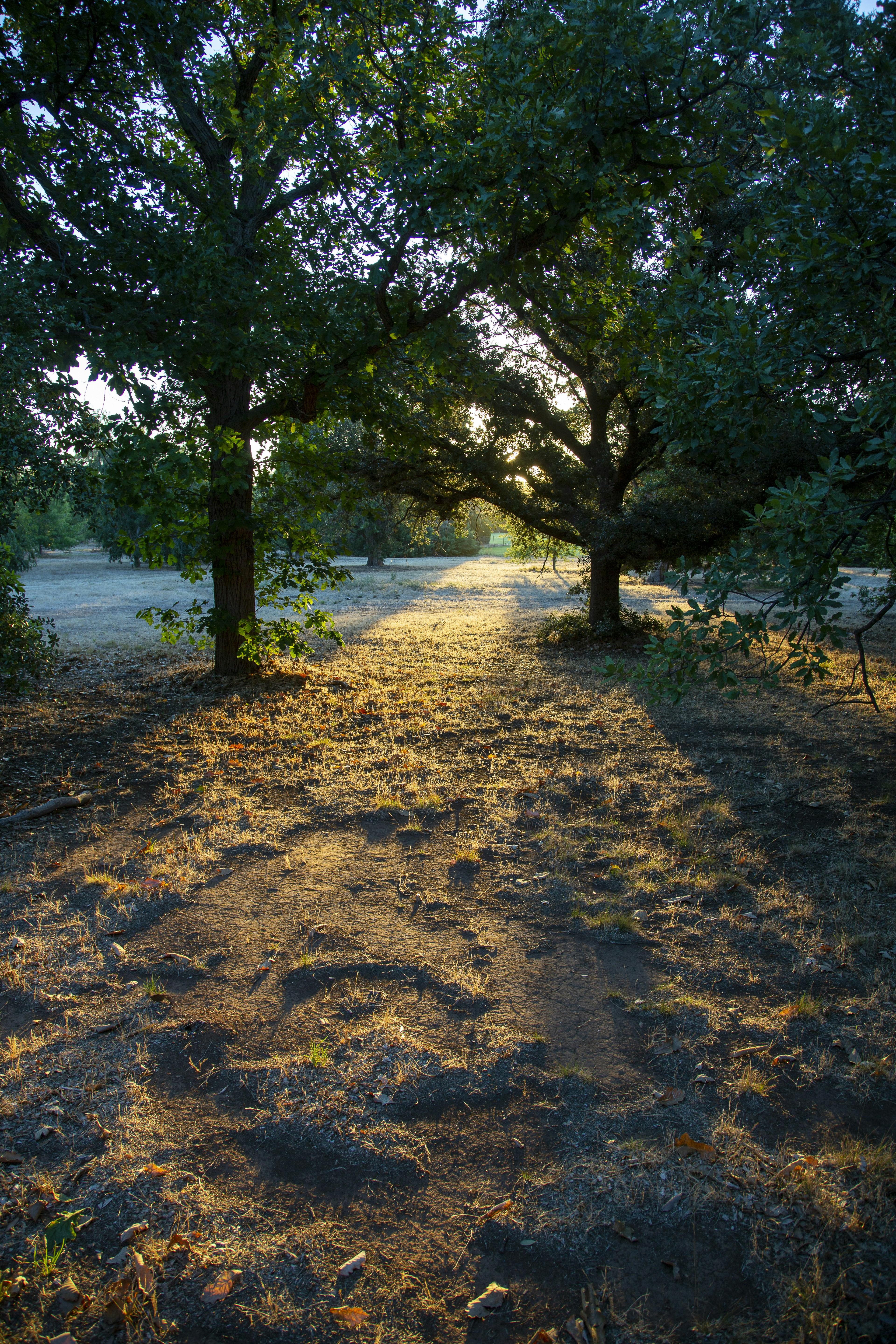 Photo by stephenmabbs