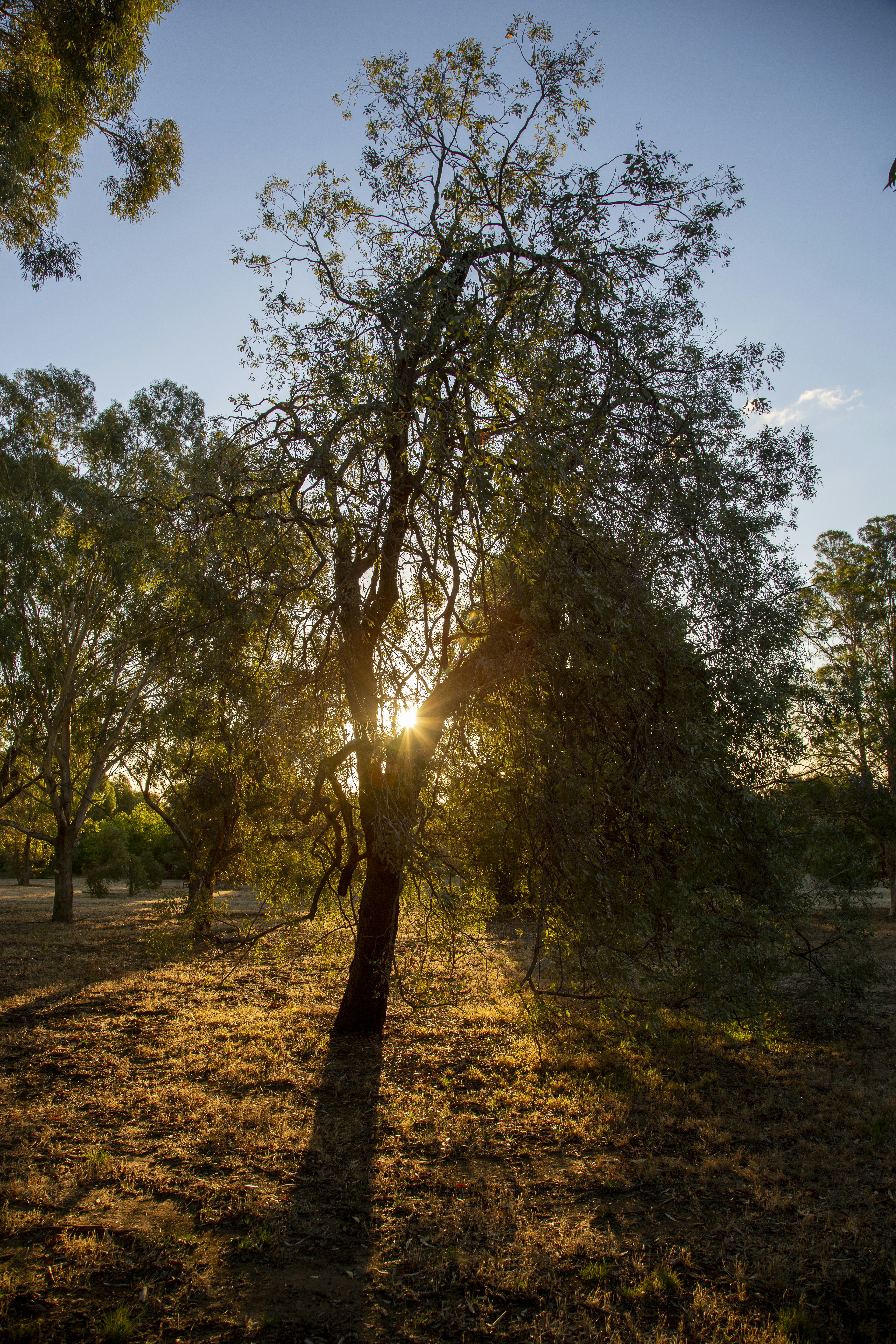 Photo by stephenmabbs