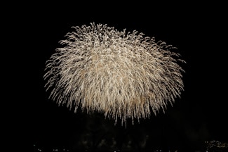 Feuerwerk Merzig