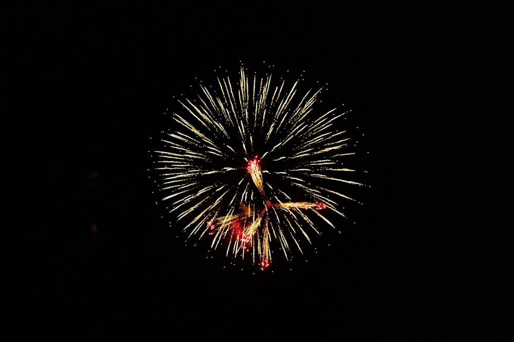 a fireworks is lit up in the dark sky