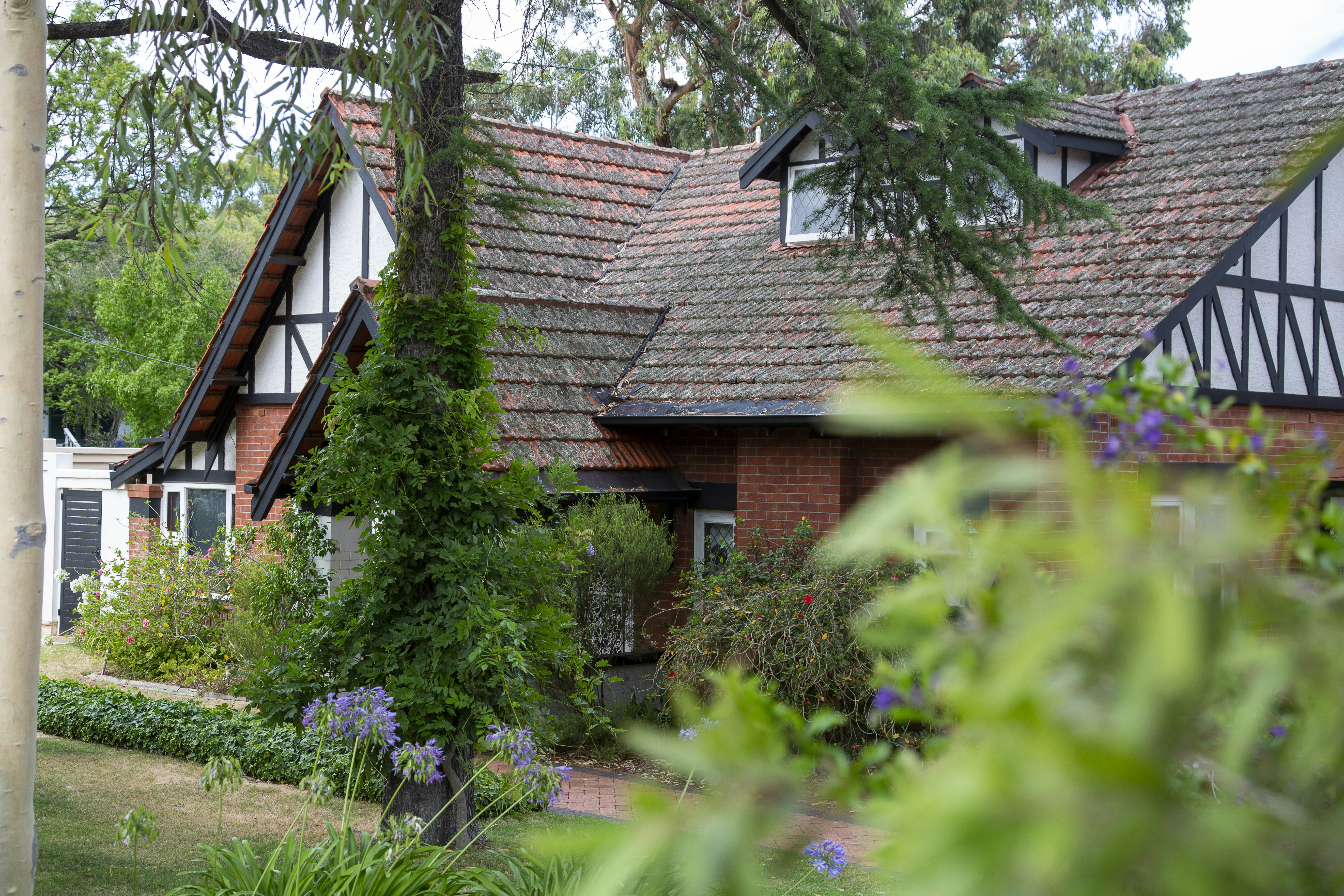 Photo by stephenmabbs