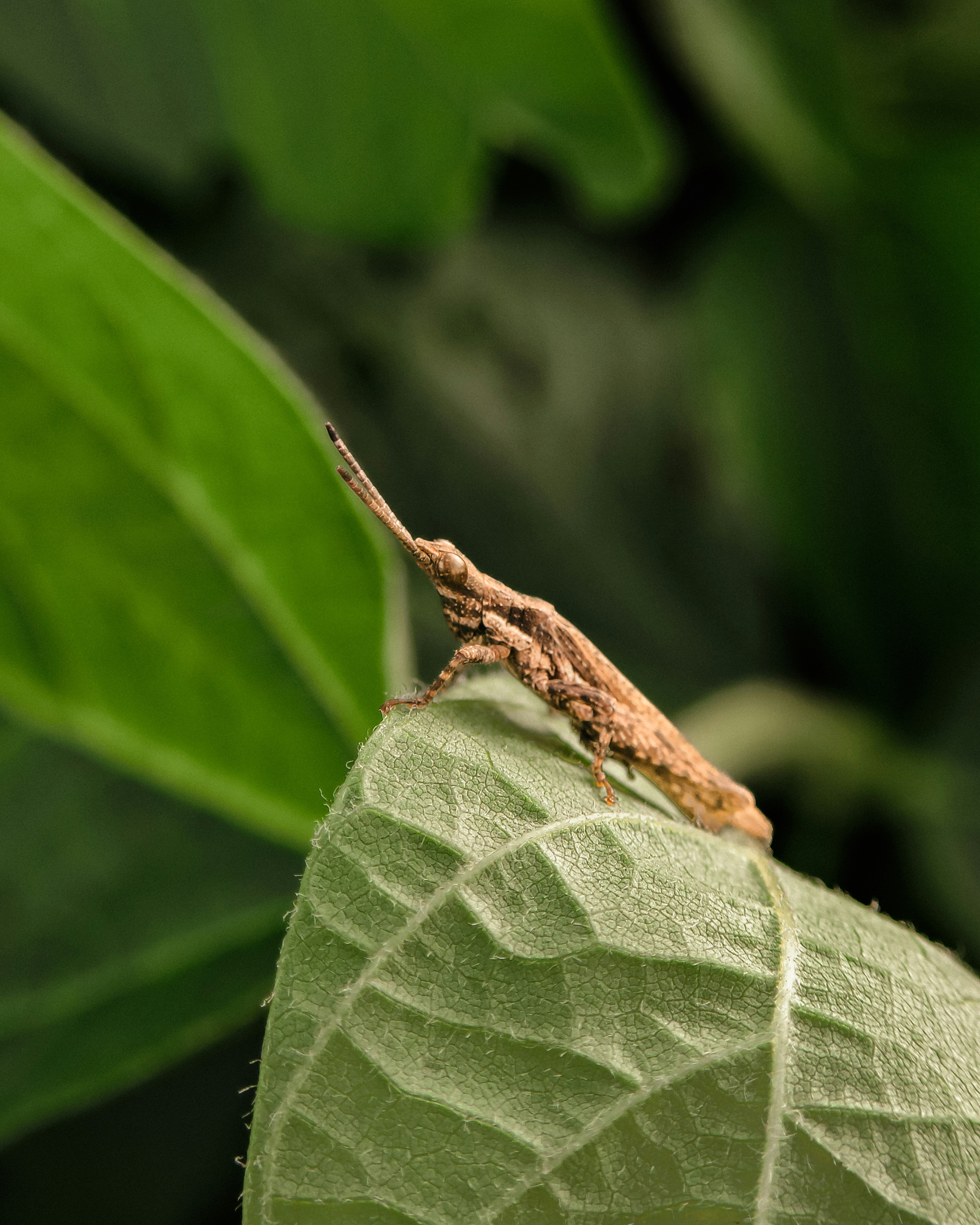 Photo by nildshinde90