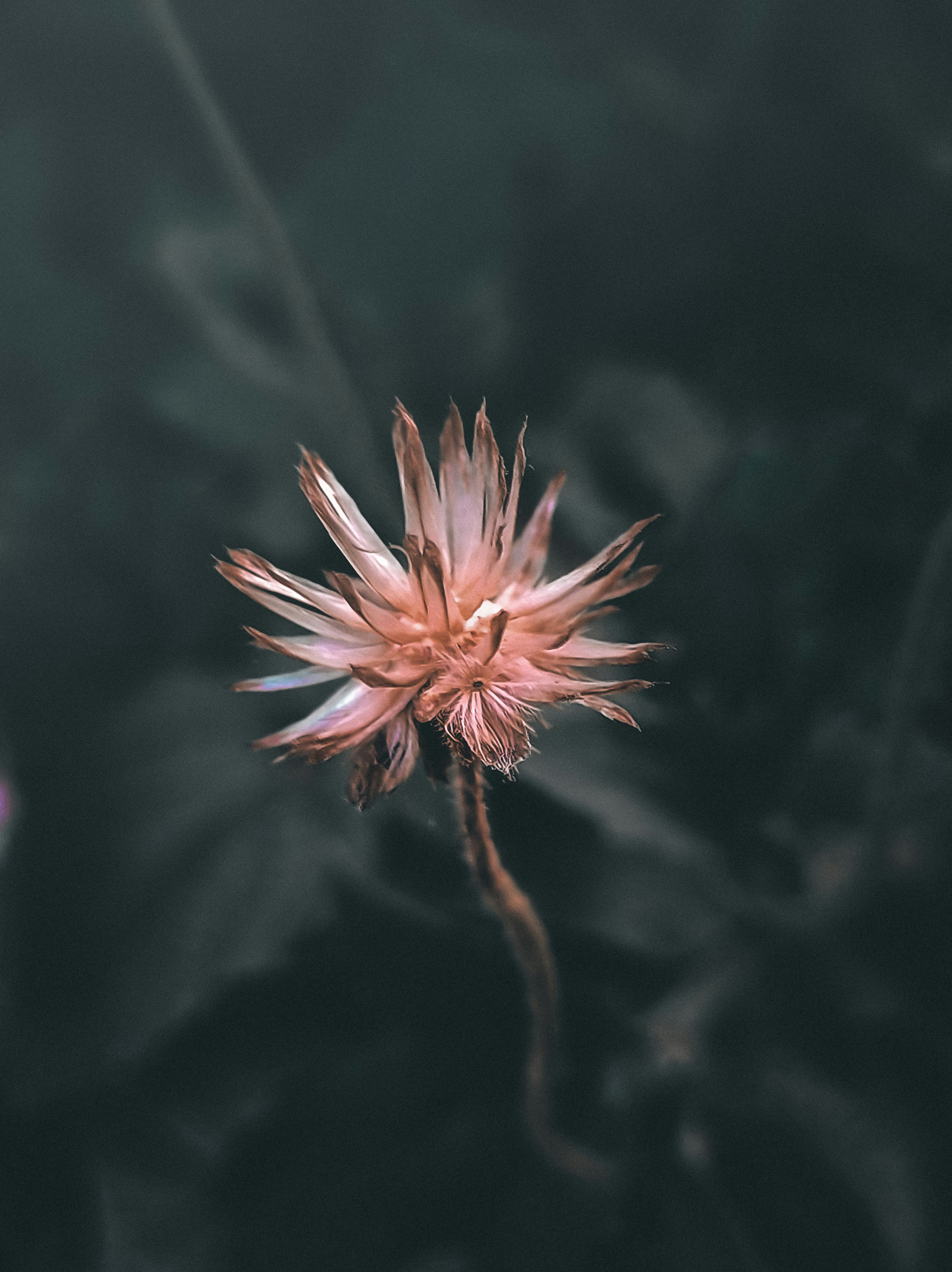 Photo by nildshinde90