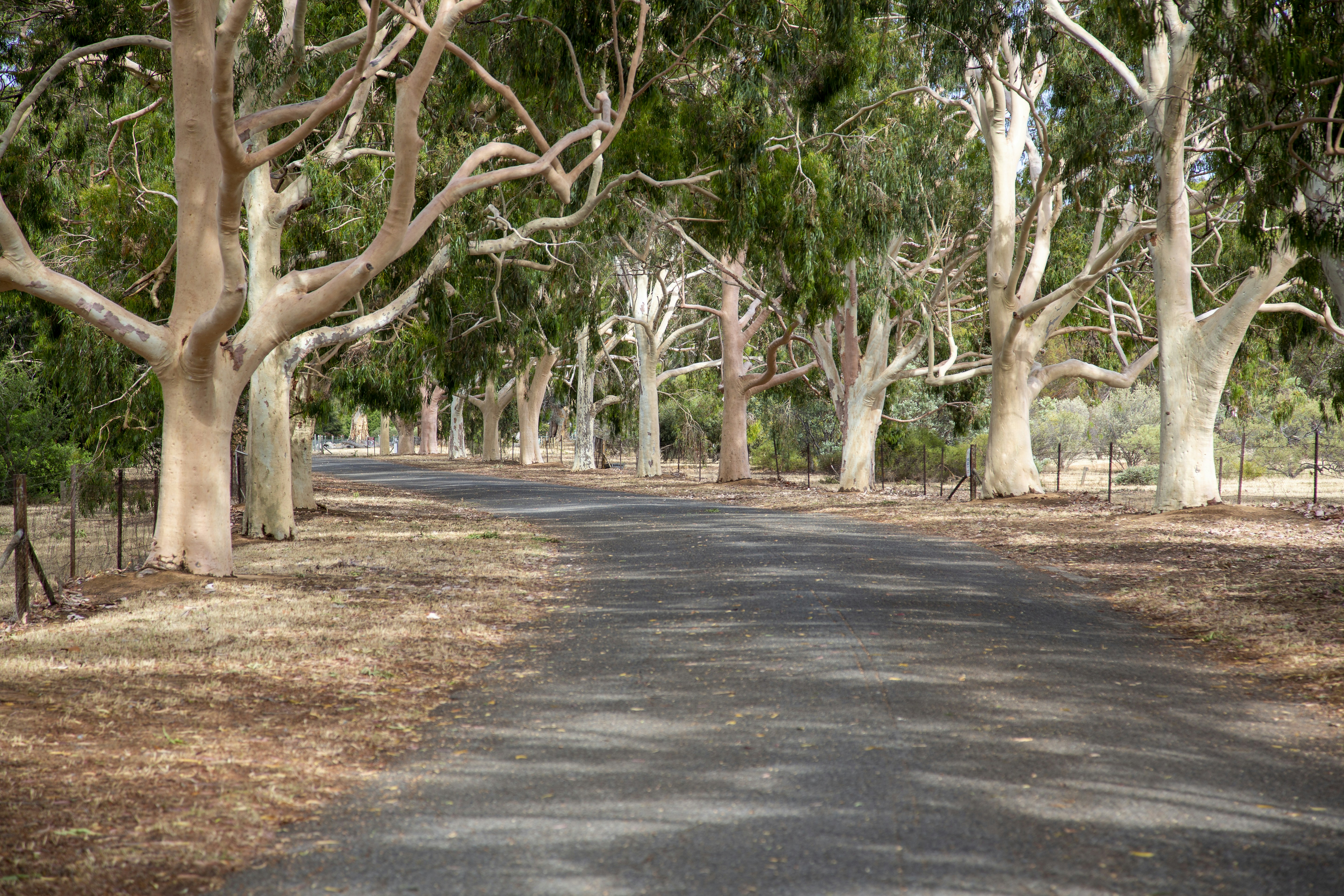 Photo by stephenmabbs