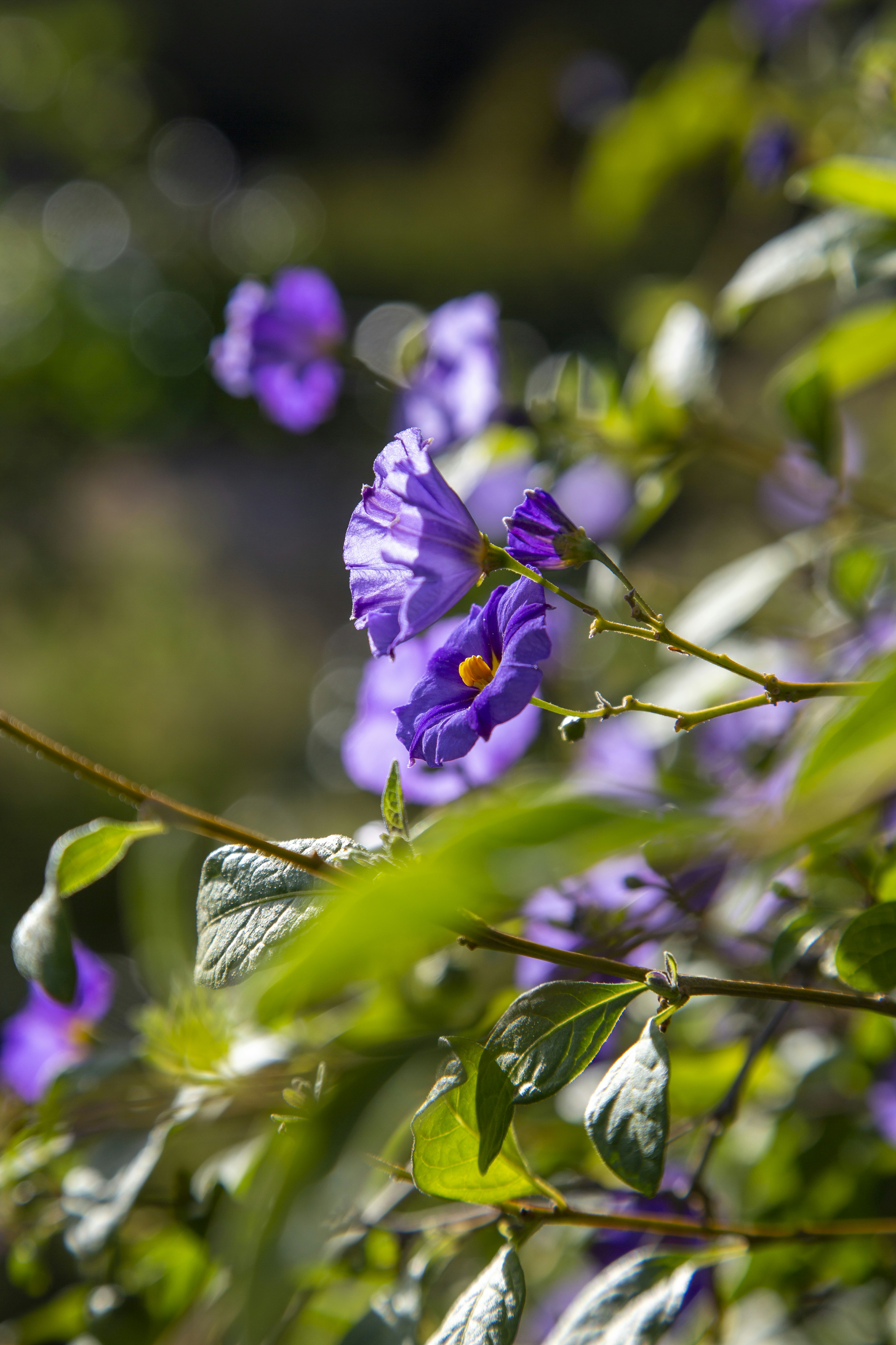 Photo by stephenmabbs