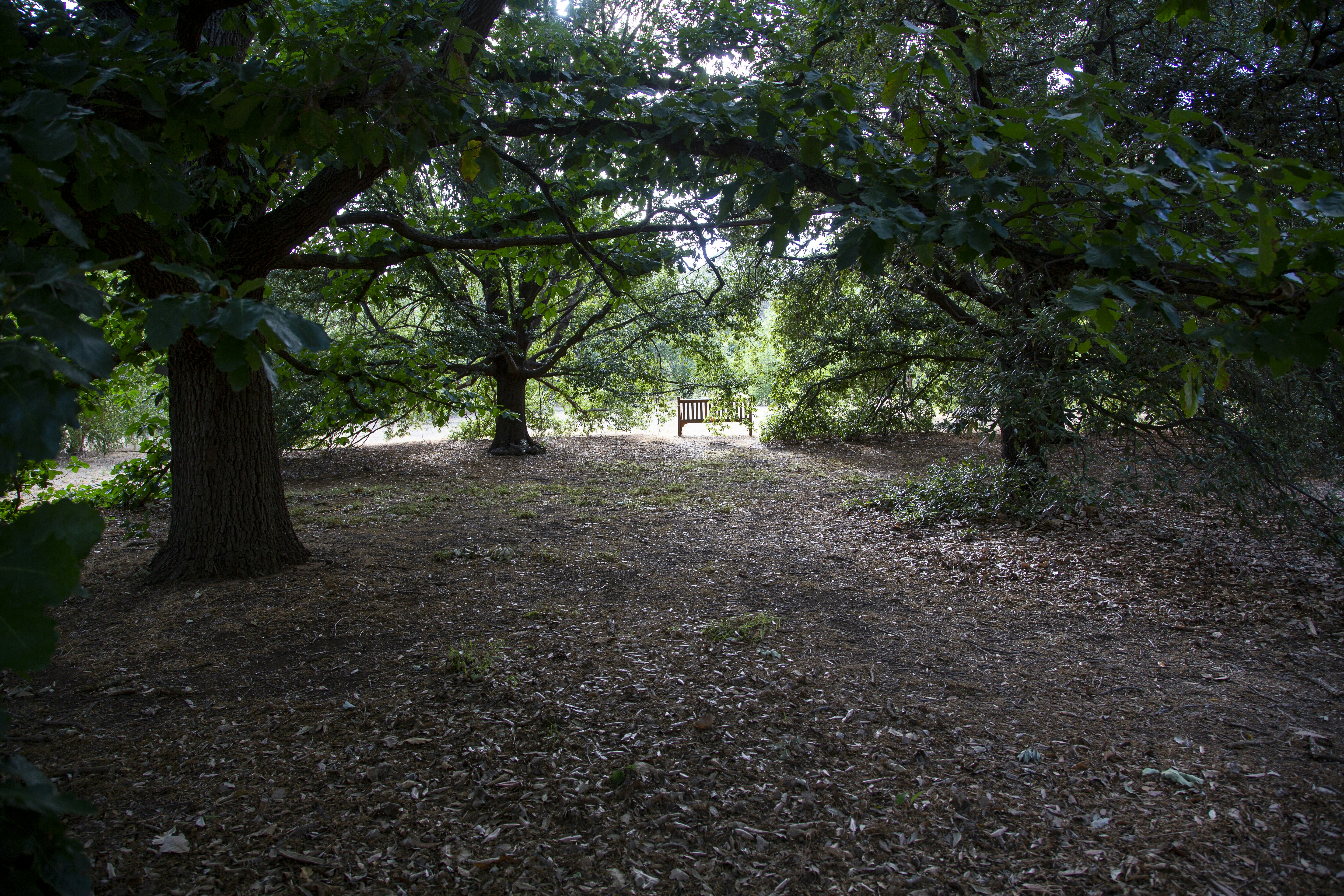 Photo by stephenmabbs