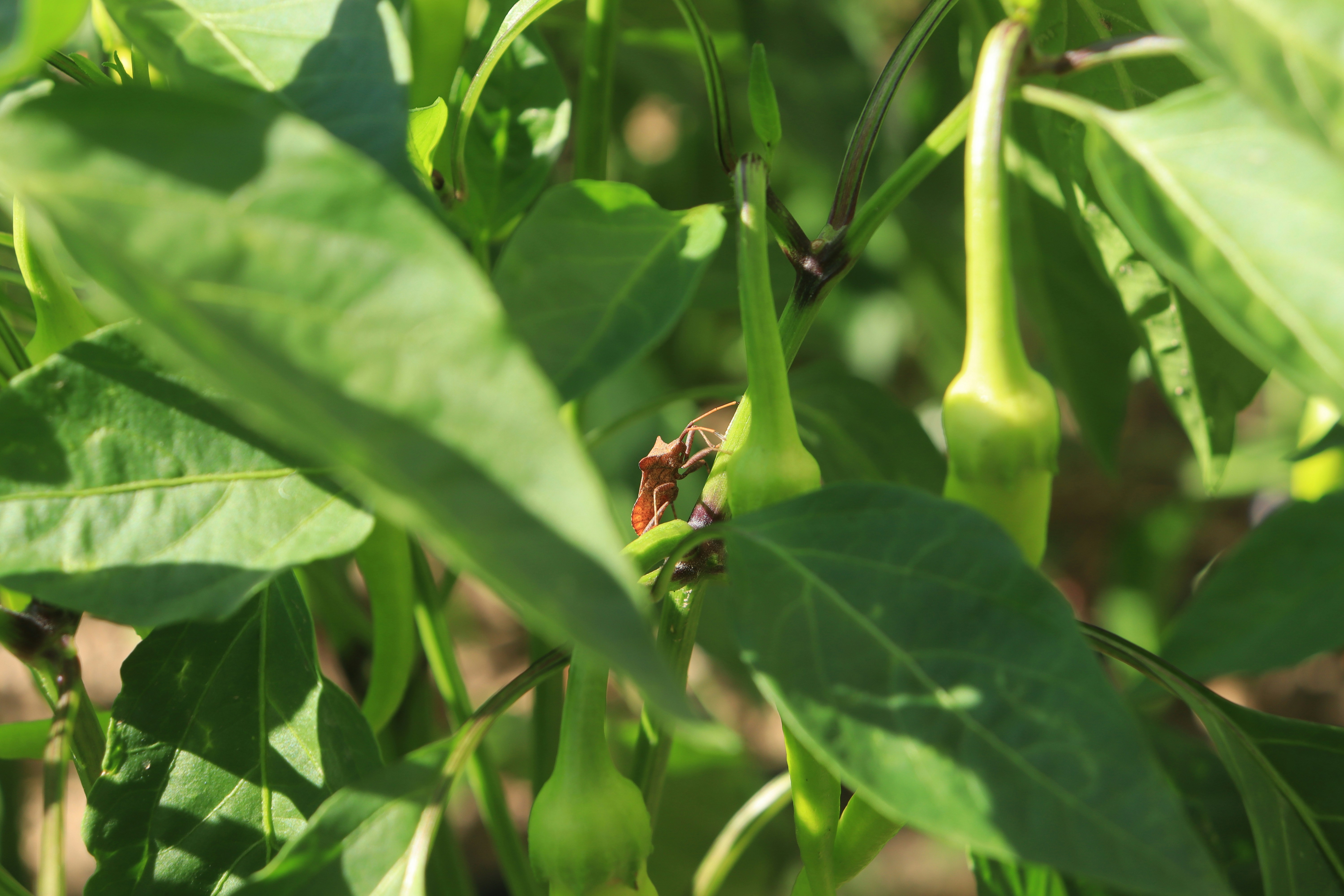 Photo by yunustahayilmaz