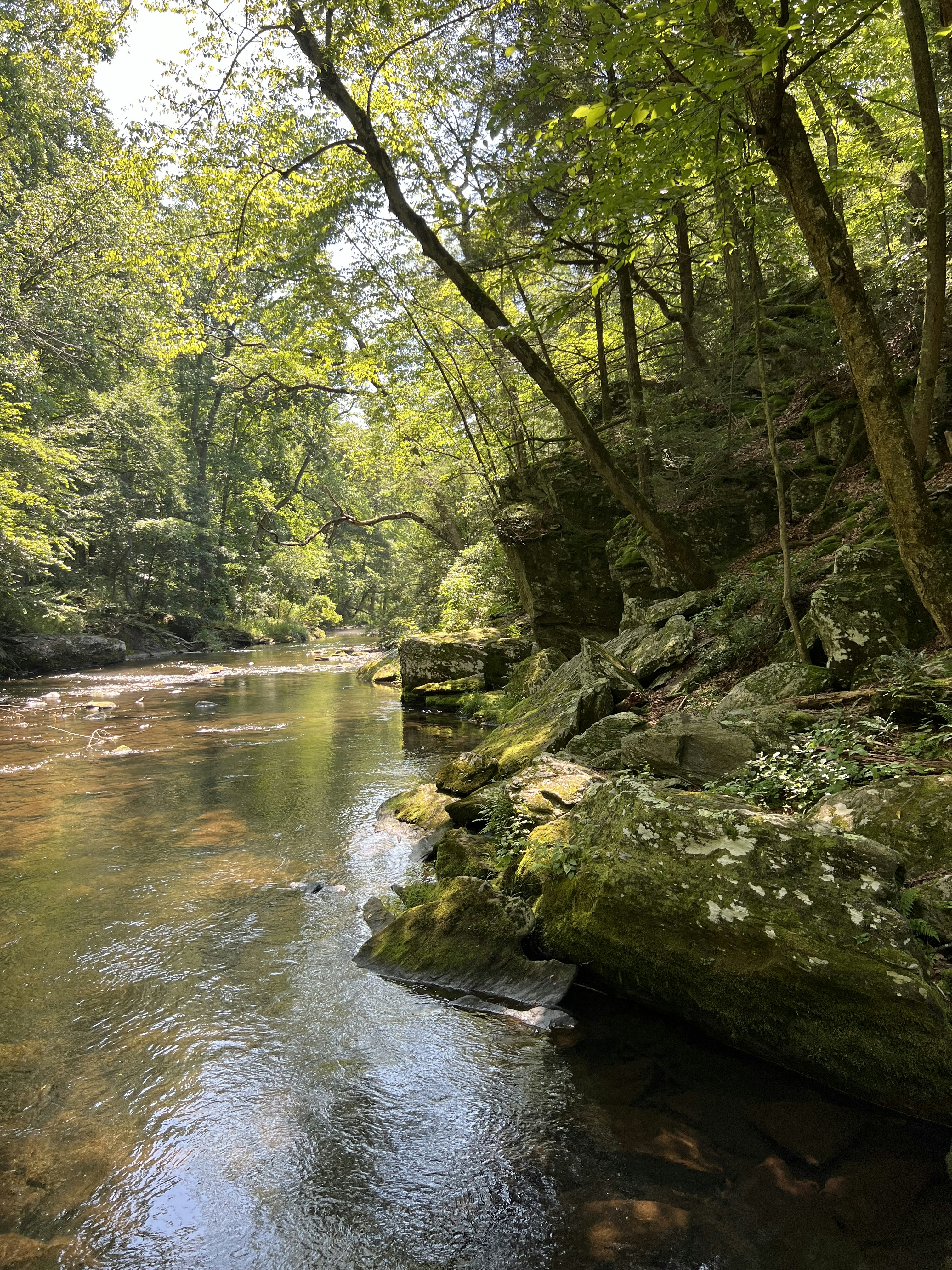 Photo by bjornmeansbear