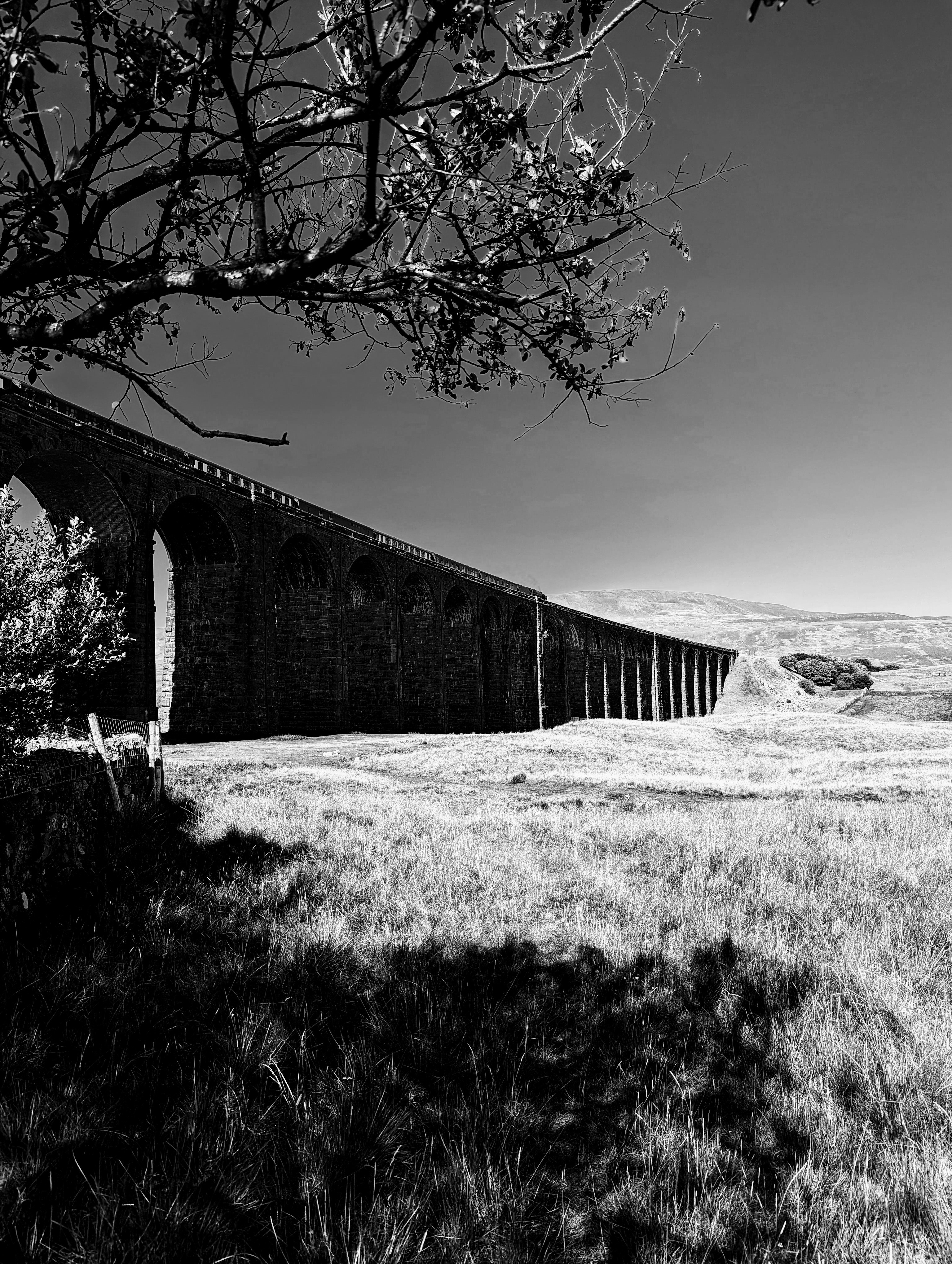 Photo by manuliniger