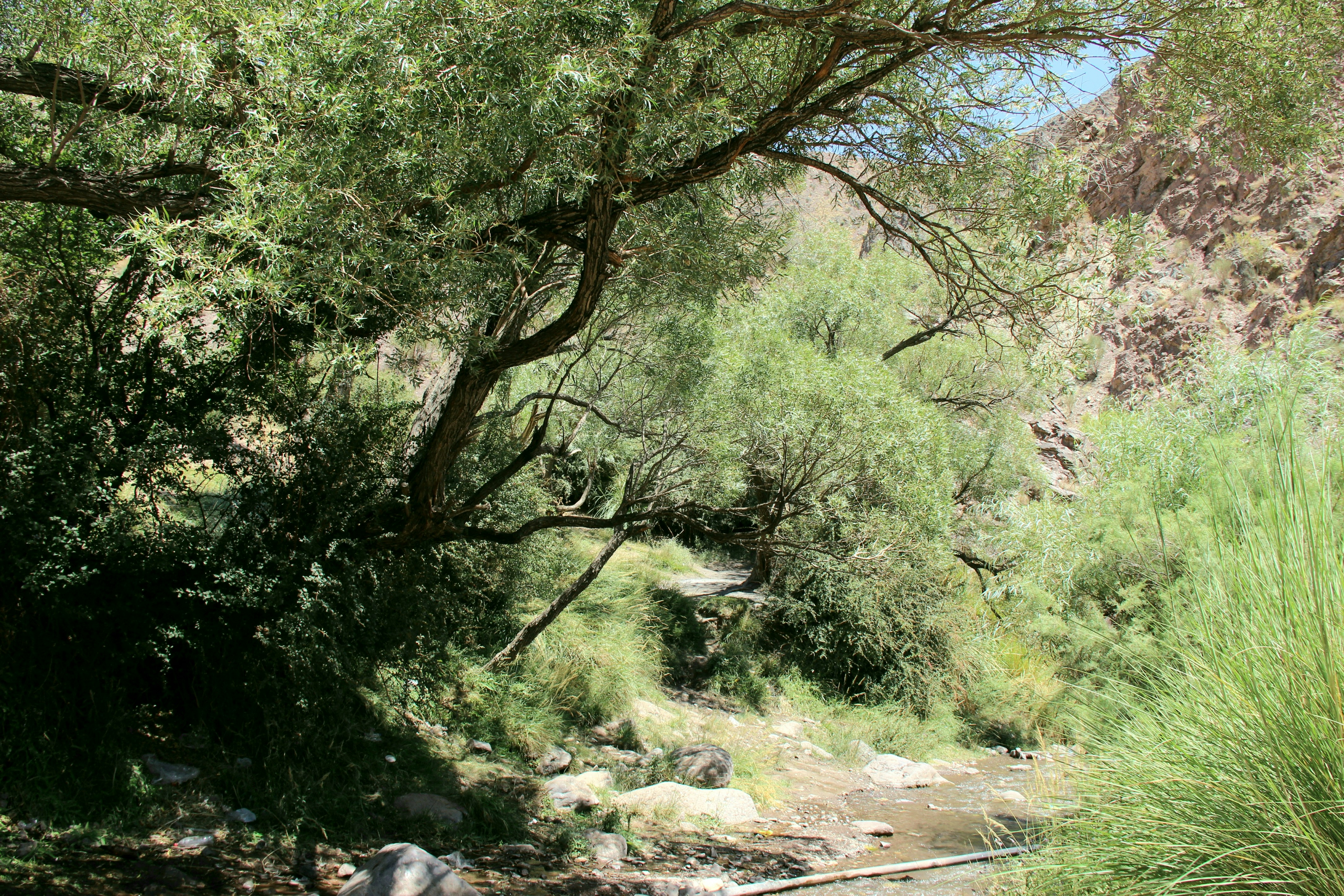 Photo by paris_nature_photo