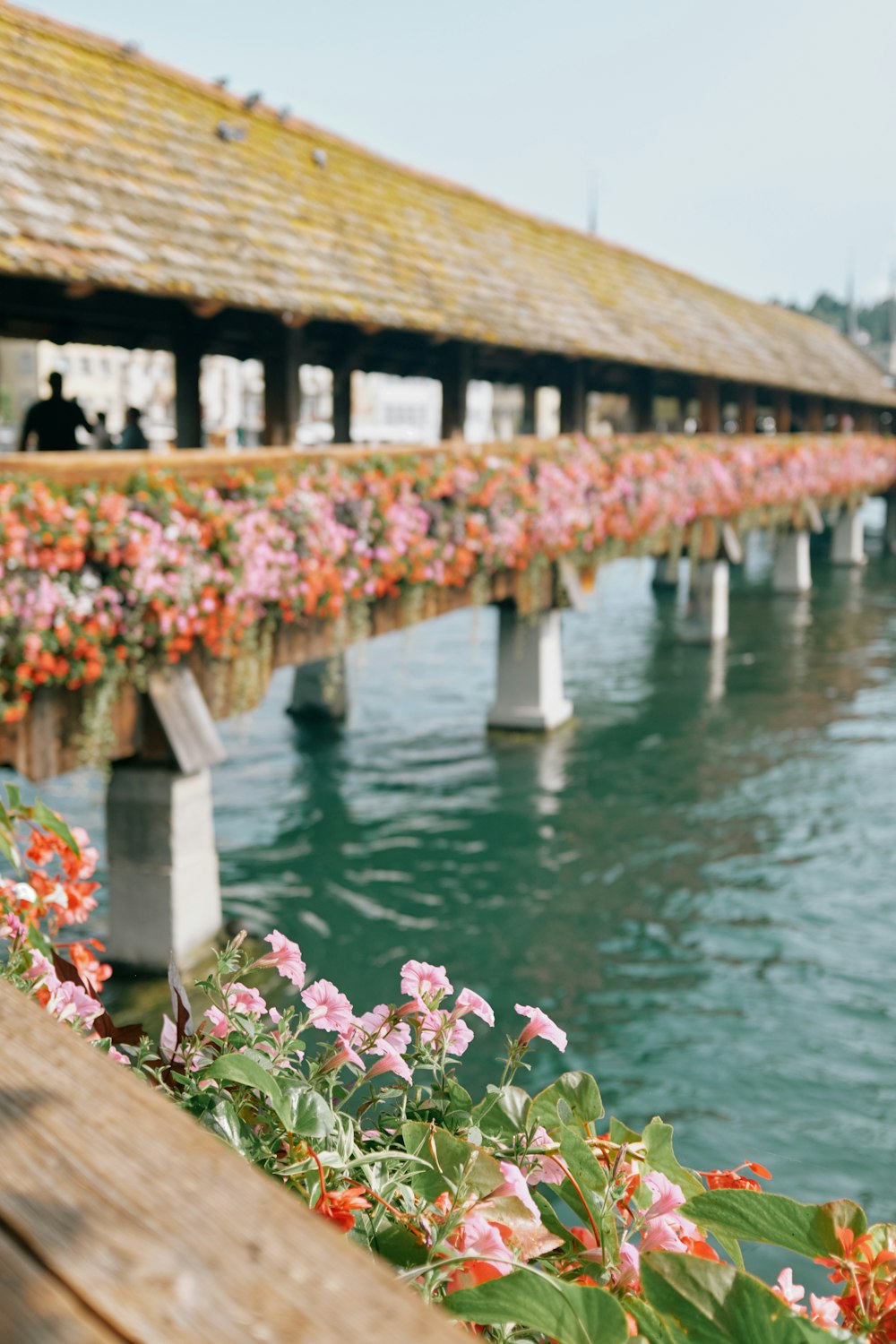 a pier with flowers growing on the side of it