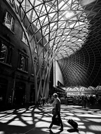 A striking architectural space featuring an intricate web-like roof structure allows sunlight to cast dynamic shadows across the floor. A lone traveler with a suitcase moves through the space, while other individuals are visible in the background near the building's walls and entrances.