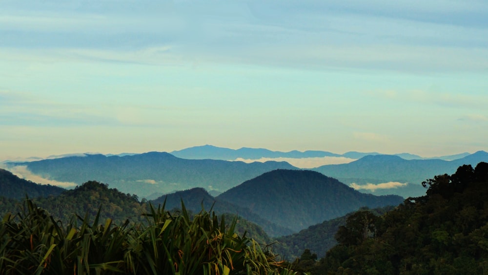 a view of a mountain range from a distance