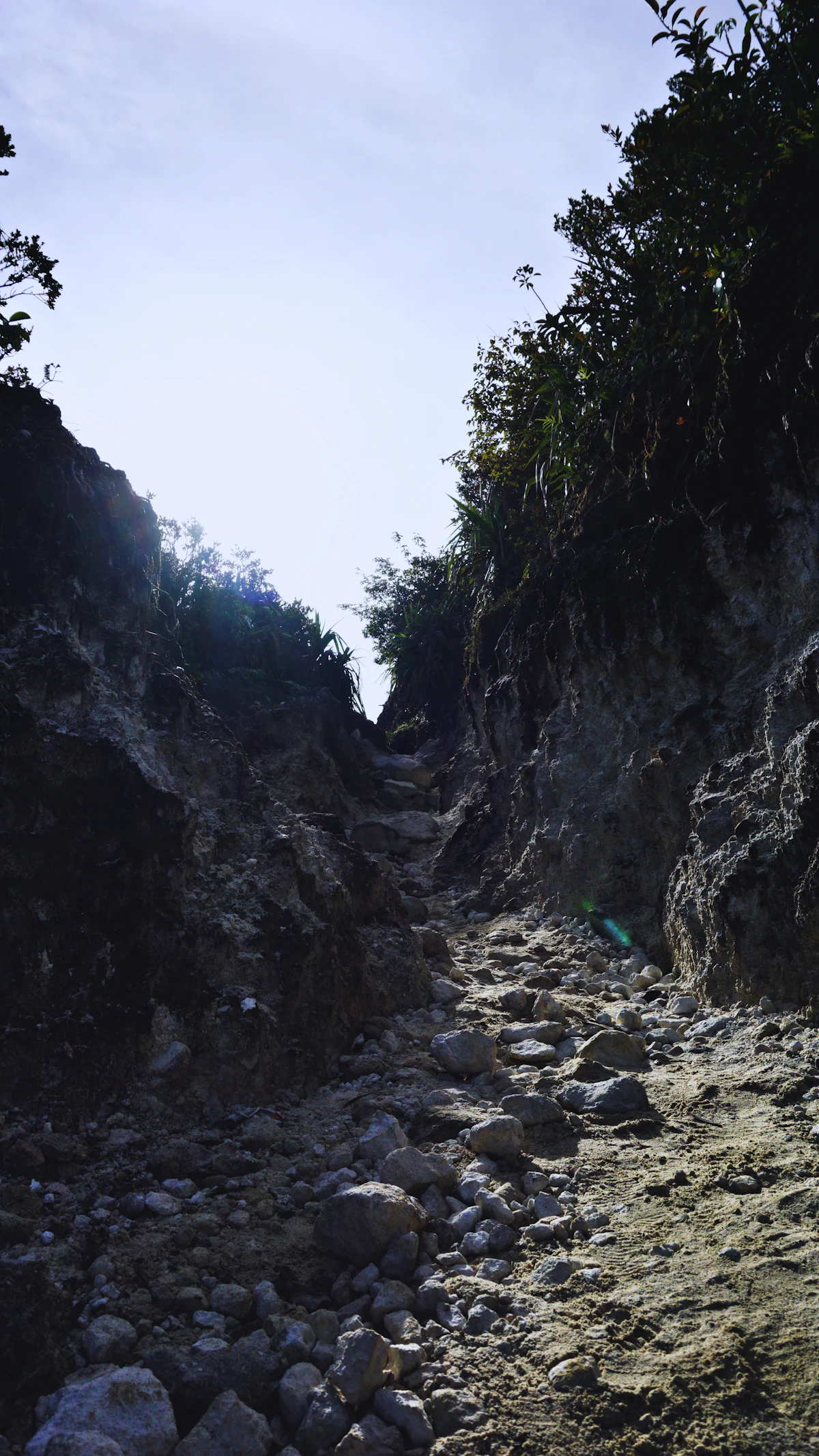 Sheer 100-meter granite canyon cliffs and emerald rice paddies in Harau Valley