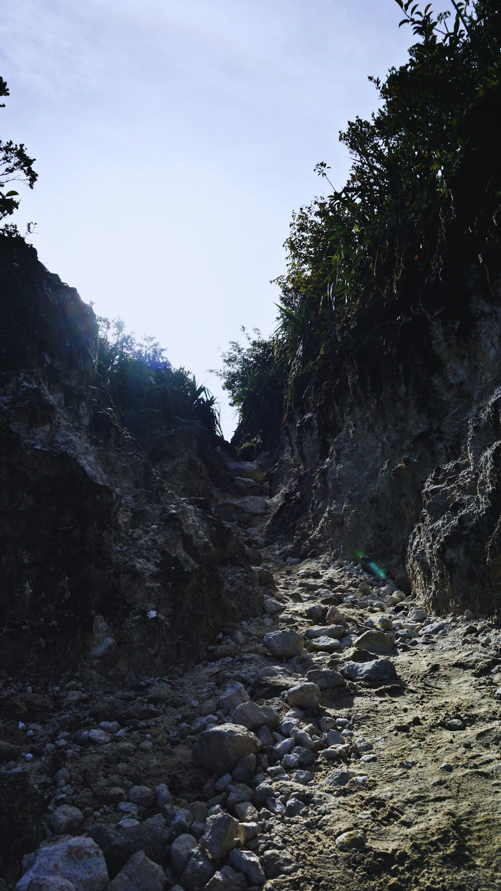 a rocky path with rocks and trees on the side