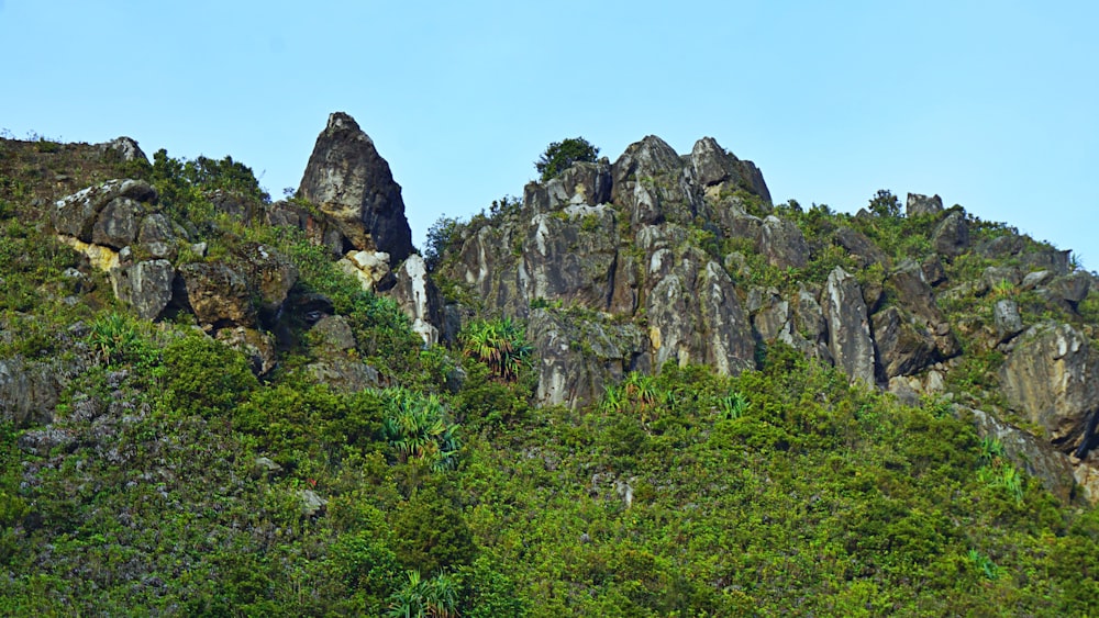 a group of rocks sitting on top of a lush green hillside