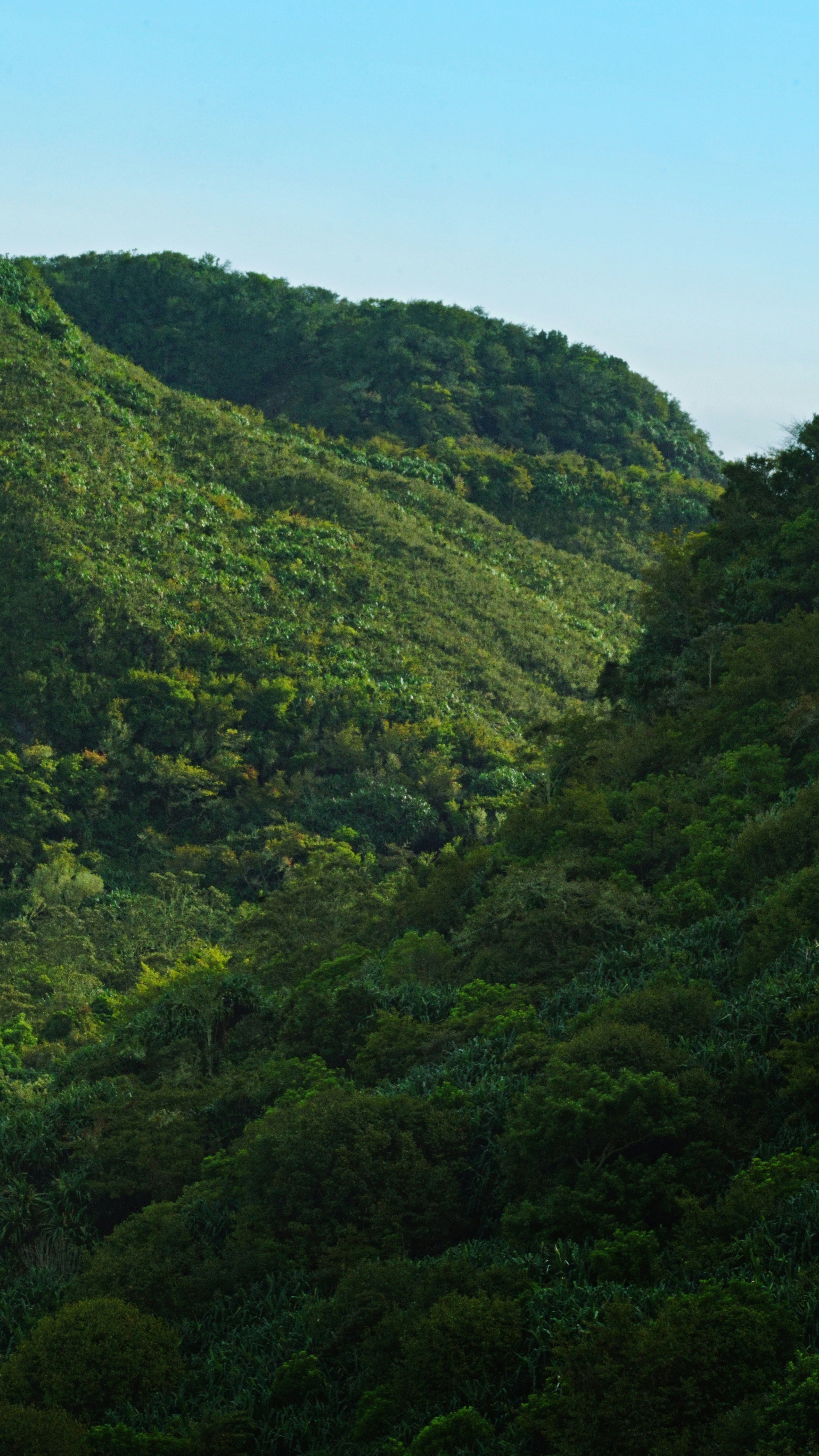 Photo by vinndopicts