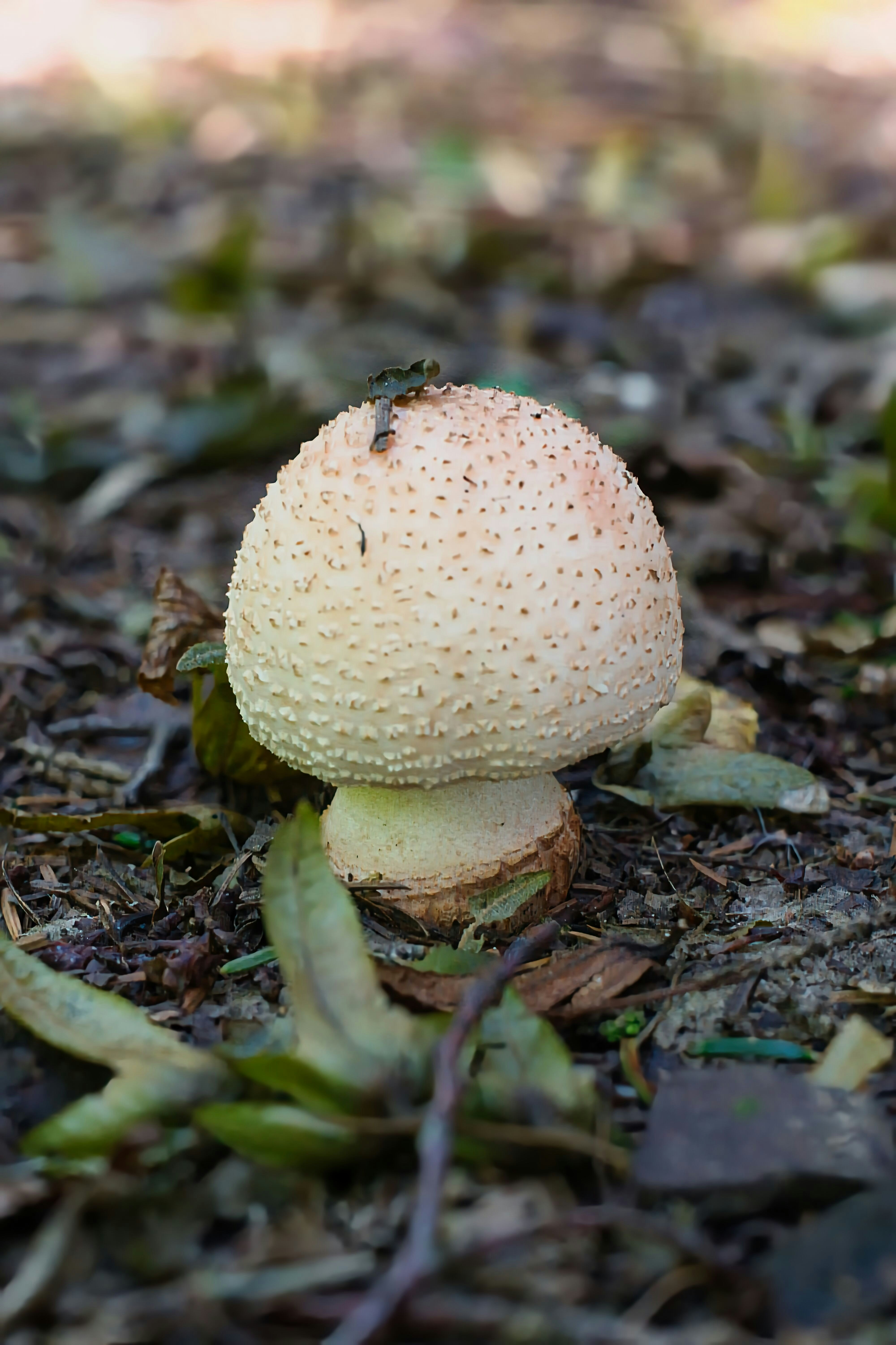 Photo by xd_studio_creation