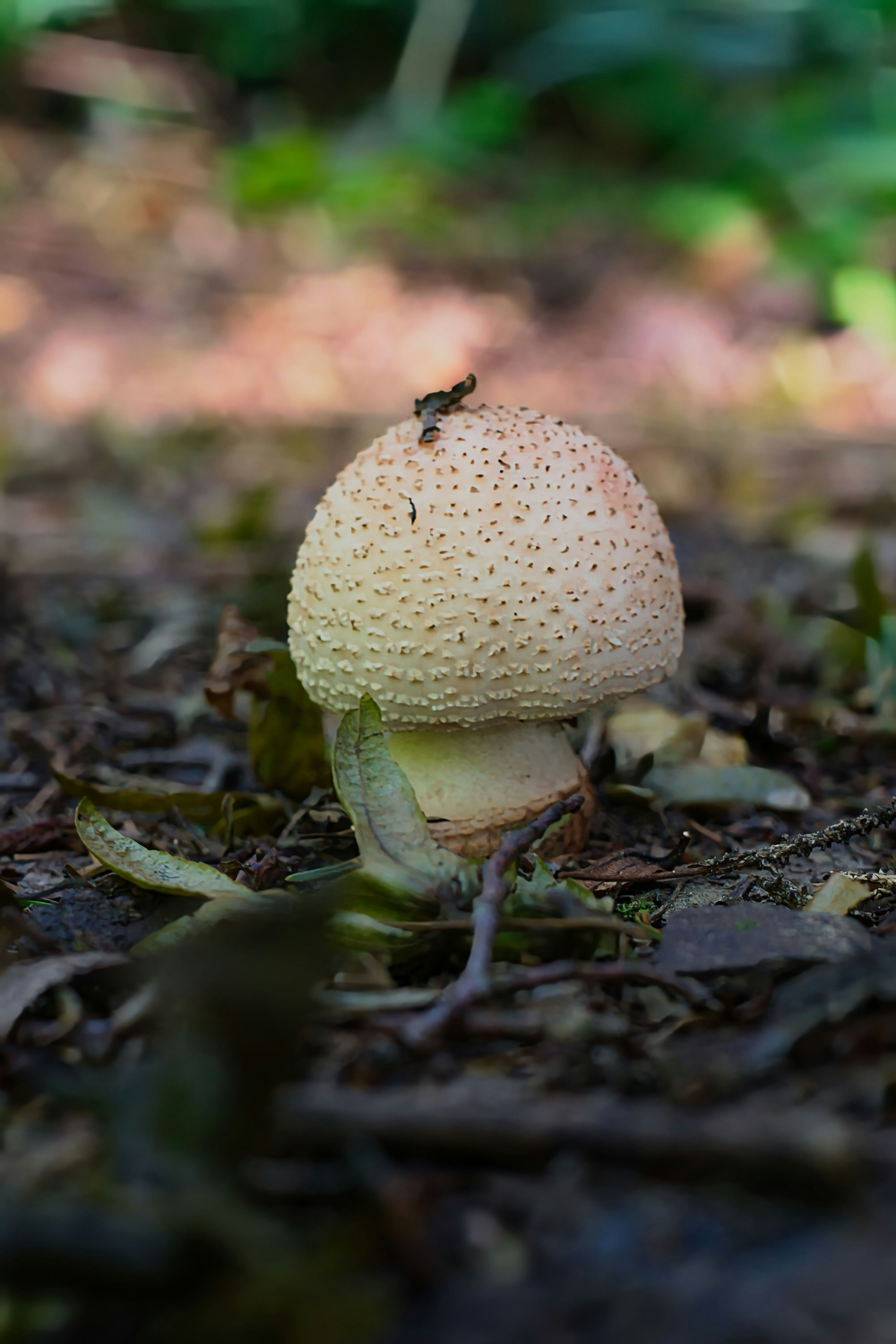 Photo by xd_studio_creation