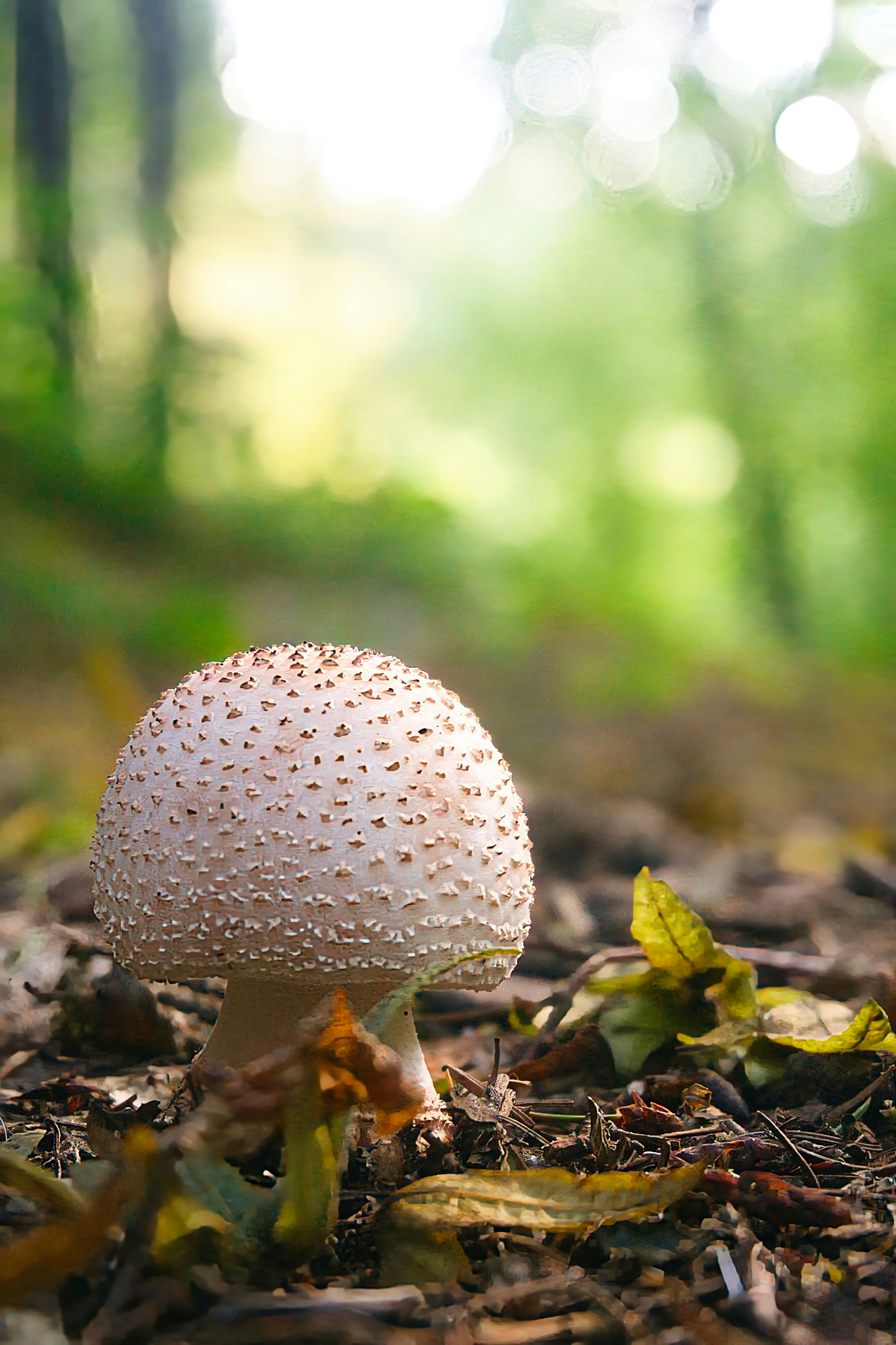 Photo by xd_studio_creation