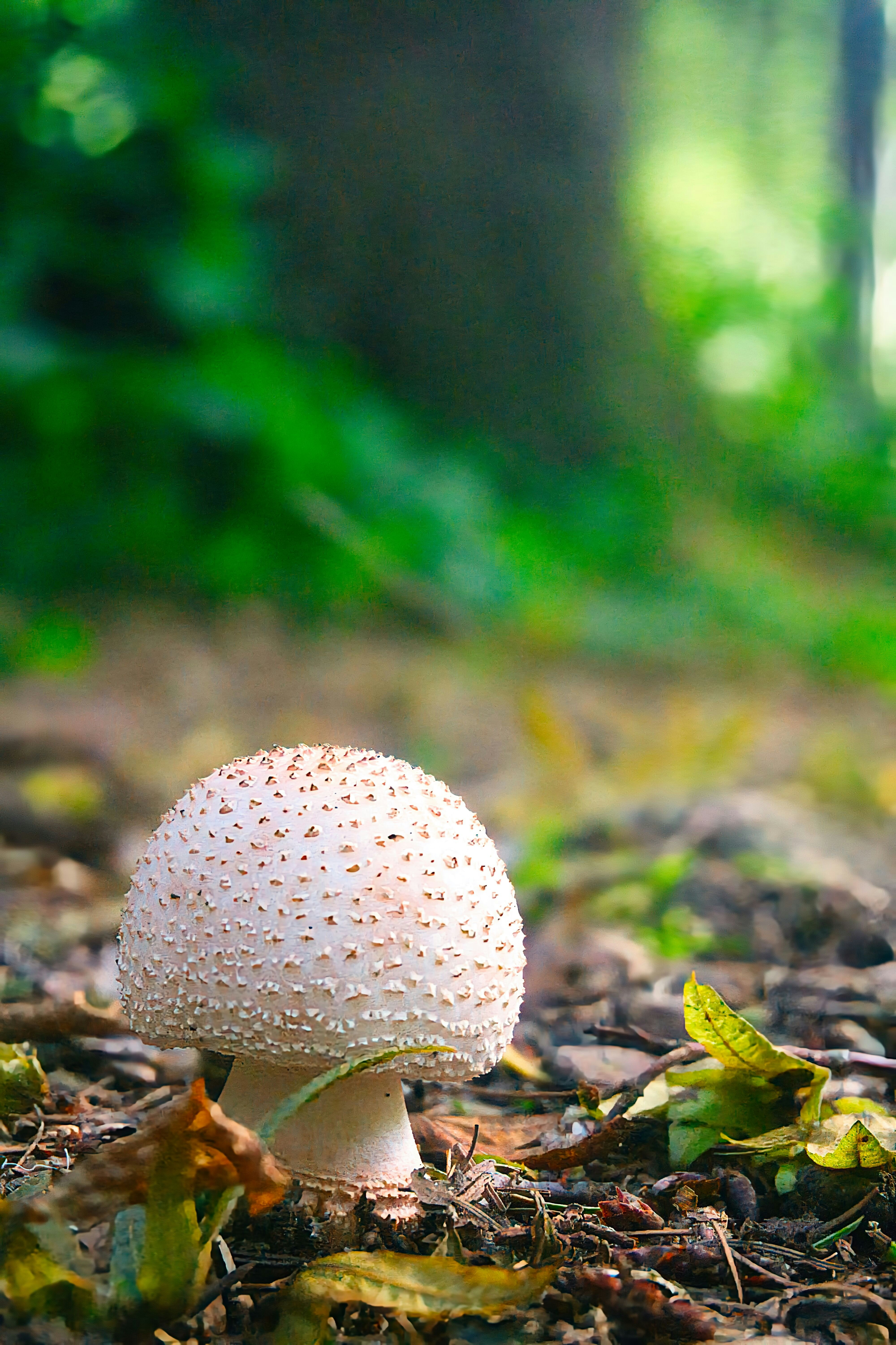 Photo by xd_studio_creation